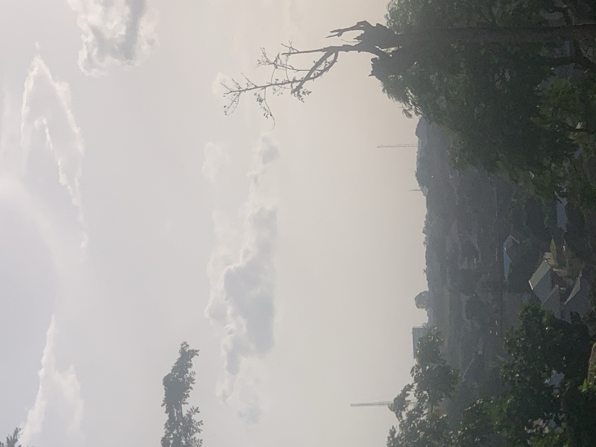 This is a vertical, slightly out-of-focus image of a landscape in Barakin Lerawi, Nigeria, taken on a hazy or overcast day. The sky dominates the left side of the frame, filled with soft, diffused clouds. A silhouetted, bare tree branch with a few small leaves extends from the top right, reaching into the sky. On the right side, a densely vegetated hillside is visible, dotted with buildings that appear to be part of a settlement. The buildings are mostly dark and blend into the greenery due to the haze and distance.
In the distance, on the hillside, faint structures resembling cranes can be seen, suggesting ongoing construction or industrial activity. The overall mood is muted and somewhat somber, likely due to the weather conditions. The time of day is indeterminate but appears to be daytime given the brightness of the sky. There is no visible text in the image. The scene depicts a somewhat rural or semi-rural setting with a blend of natural landscape and human habitation.