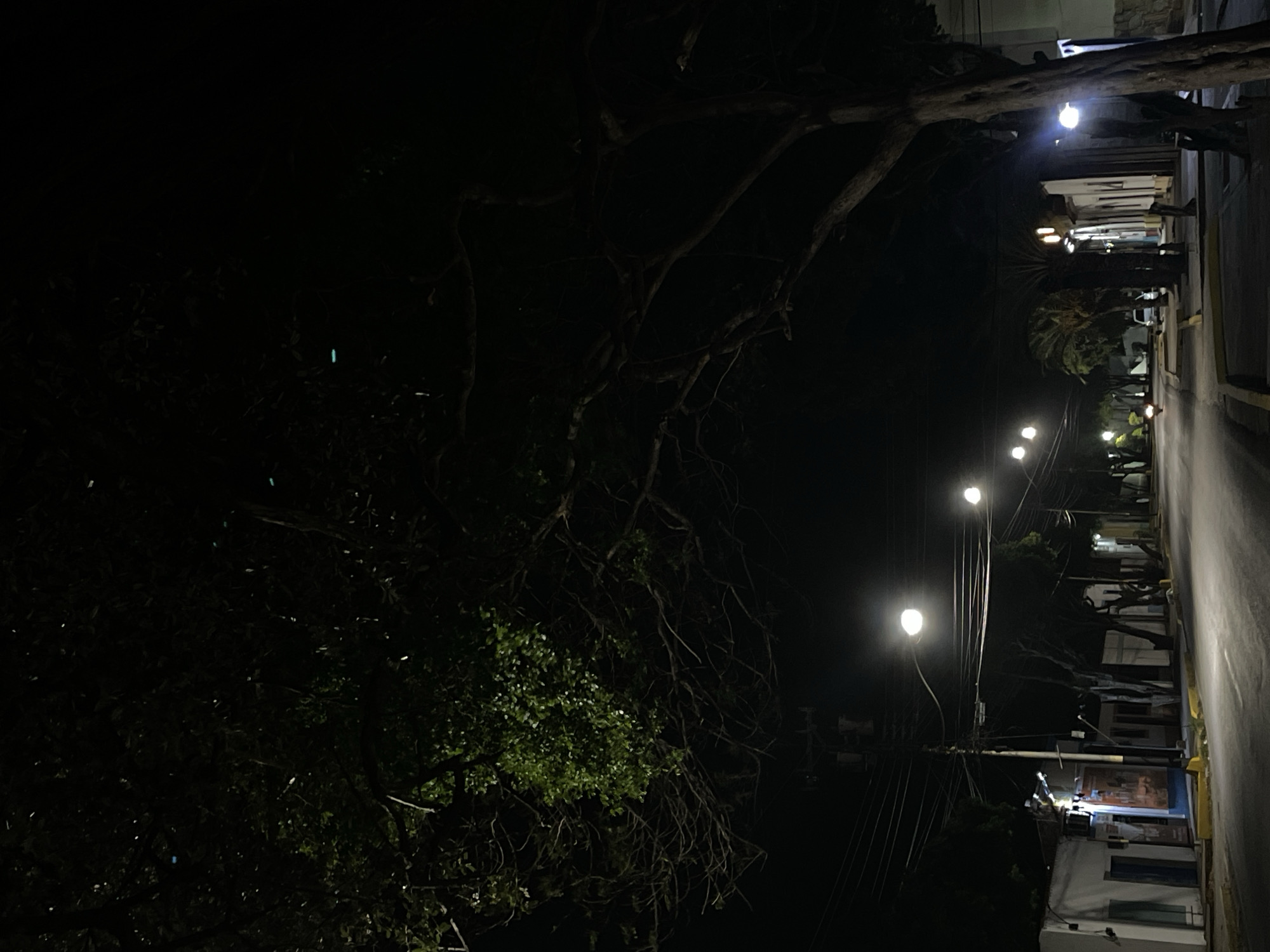 The image depicts a dark, night-time street scene, captured in a portrait orientation. The left side of the frame is dominated by the dense, shadowy foliage and gnarled branches of a large tree, with patches of green leaves faintly illuminated by distant light.
On the right side, a street or road extends vertically from the bottom to the top of the image. It features a visible curb and a yellow line marking its edge. Several bright streetlights are positioned along this road, casting significant glare and acting as primary light sources for the scene. Beyond the street and streetlights, a row of low-rise buildings or structures can be seen, with some internal or facade lights visible, suggesting they are residences or small businesses. Utility poles with numerous overhead wires are also prominent near the streetlights.
In the upper right portion of the image, near the top streetlights and buildings, a few indistinct human figures appear to be walking or standing on a sidewalk. The overall activity suggests a quiet night in an urban or suburban area.
Notable details include the profound darkness of the night, starkly contrasted by the intense artificial illumination from the streetlights and building lights. The atmosphere is calm and nocturnal. The location is an illuminated street likely in Tacarigua, Venezuela. No discernible text is visible anywhere in the image.