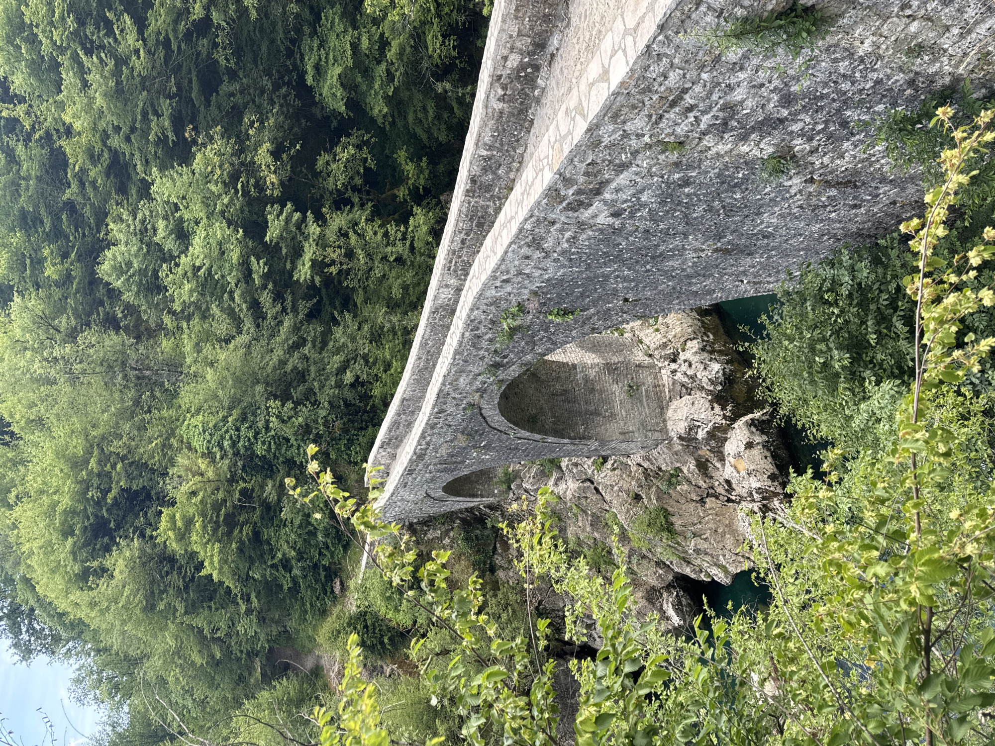 The image depicts a stone bridge with two arches spanning a river gorge in Međuriječje, Montenegro. The bridge is constructed of rough-hewn stone and has a curved profile. Lush green vegetation covers the banks of the gorge and the surrounding hillsides. The river below the bridge appears to have dark, deep water. The foreground includes green foliage obscuring parts of the view. No people are visible in the image.
