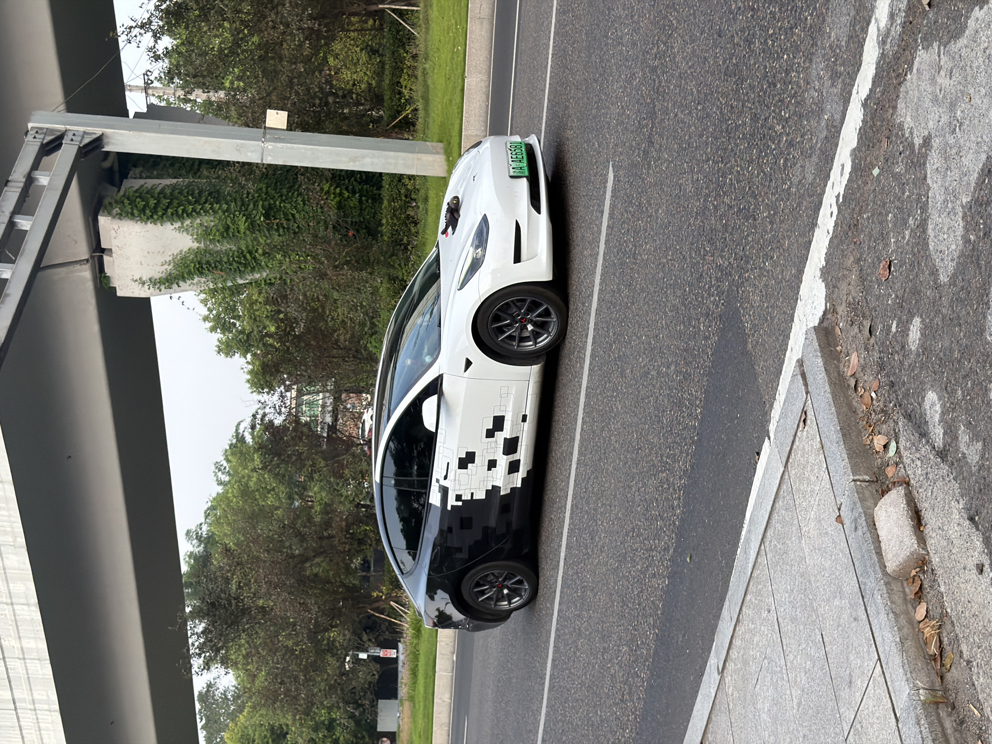 A white Tesla Model 3 with a unique black and white pixelated wrap on the rear half of the car is driving on a paved road. The car has a black roof and black accents on the doors. The car has a green license plate that reads "A AE6581". There is a small black stuffed toy with red accents on the hood of the car. The car is driving under an overpass. In the background, there are trees and some buildings. The image was taken in the city of Jiangjin, China.