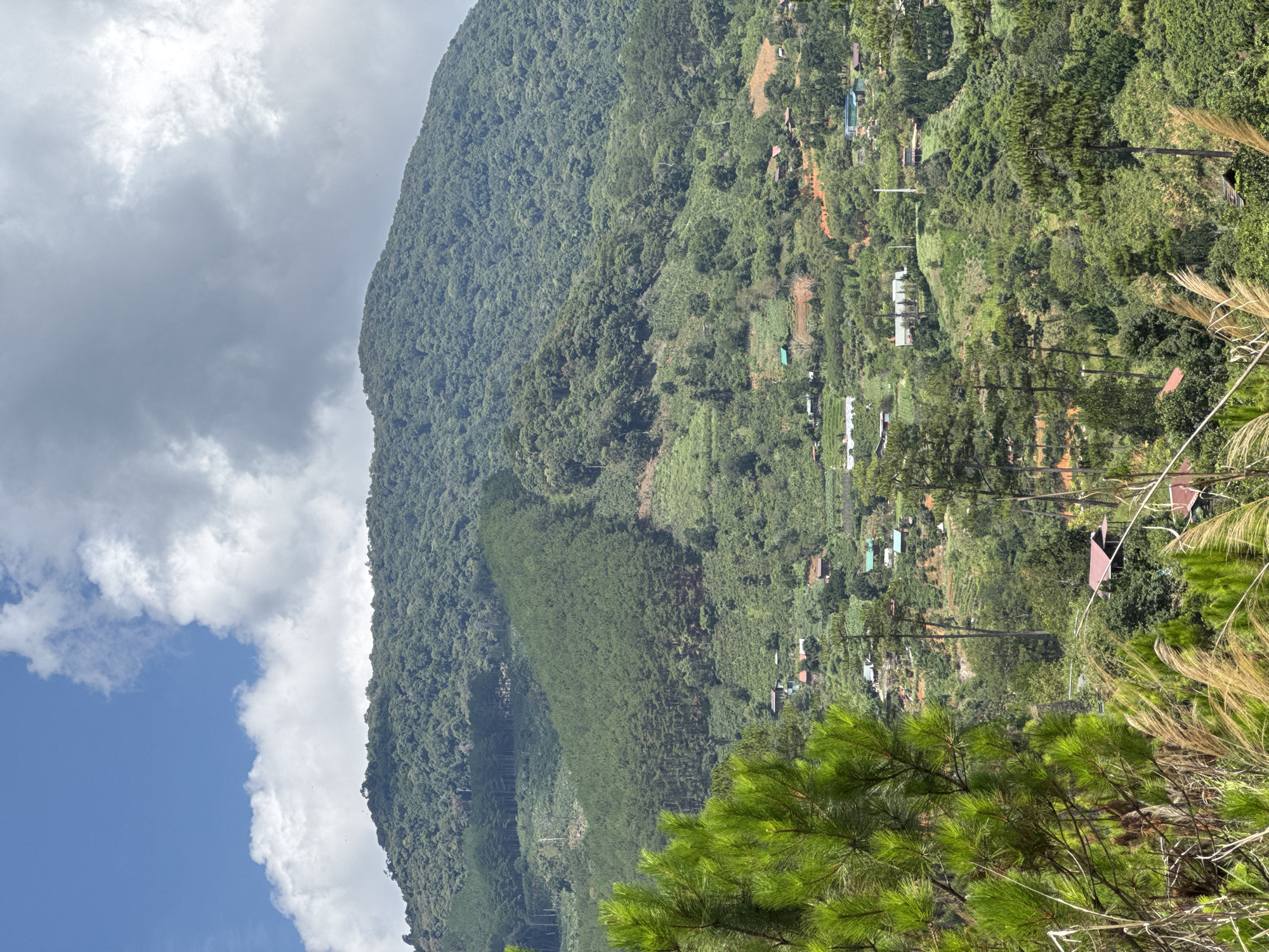 The image depicts a hillside in Hiep Thanh, Vietnam. Lush green vegetation covers the mountain. Small buildings are interspersed throughout the hillside, indicating a residential or agricultural presence. The sky features a mix of blue and white clouds. The lower right corner of the frame includes a pine tree and tall grasses.