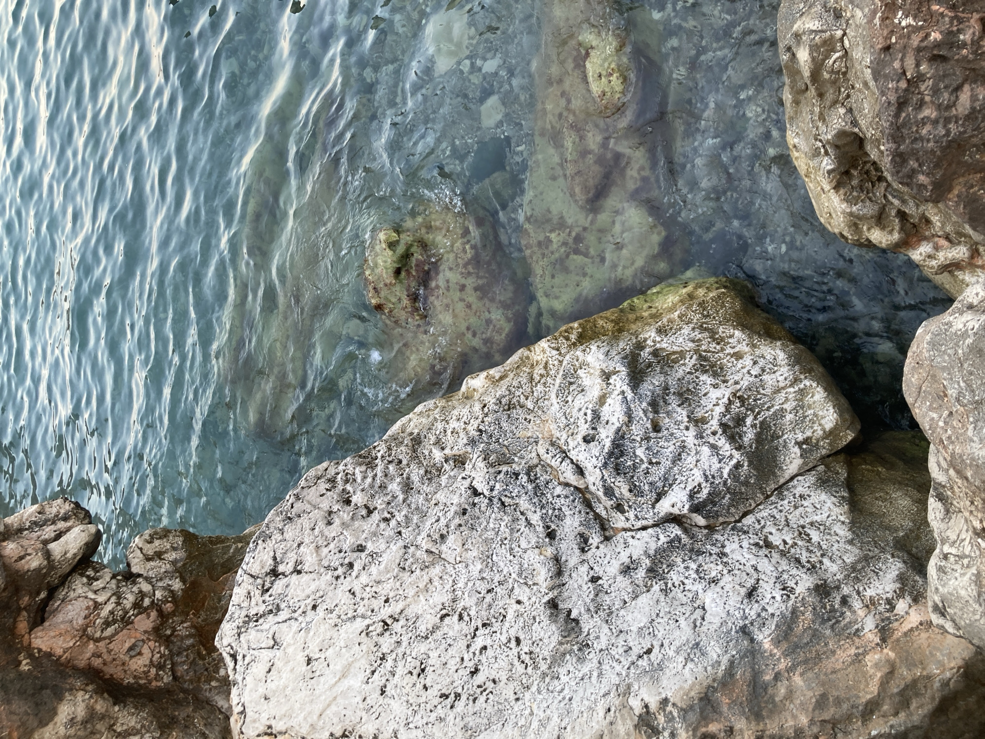 A close-up, high-angle shot captures the textured surface of large, light-colored rocks on the shore of the Mediterranean Sea in Kemer, Turkey. The rocks are rough and porous, with visible cracks and variations in color, ranging from white and gray to brown and reddish hues. Some of the rocks are partially submerged in the crystal-clear turquoise water, which reveals submerged stones and the sandy seabed below. The water is calm with gentle ripples, reflecting the soft, diffused light of what appears to be late afternoon or early morning. The scene is devoid of any human presence or man-made objects, emphasizing the natural beauty of the coastline. The image is sharp and detailed, highlighting the geological formations and the clarity of the water.