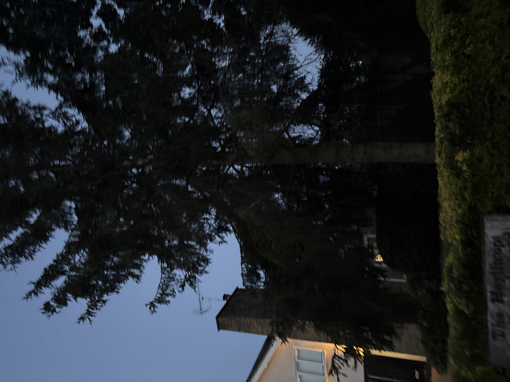 The image captures a twilight scene with a large tree dominating the foreground. To the left, a portion of a house is visible, featuring a cream-colored facade, a chimney made of brick, and a window with white blinds. A hedge runs along the bottom of the frame, and a partially visible sign at the very bottom reads "The Northrops". The sky is a clear, pale blue, suggesting either dawn or dusk. The overall impression is one of a residential property in a suburban or semi-rural setting. There is no indication of the specific location within Chelmsford, United Kingdom.