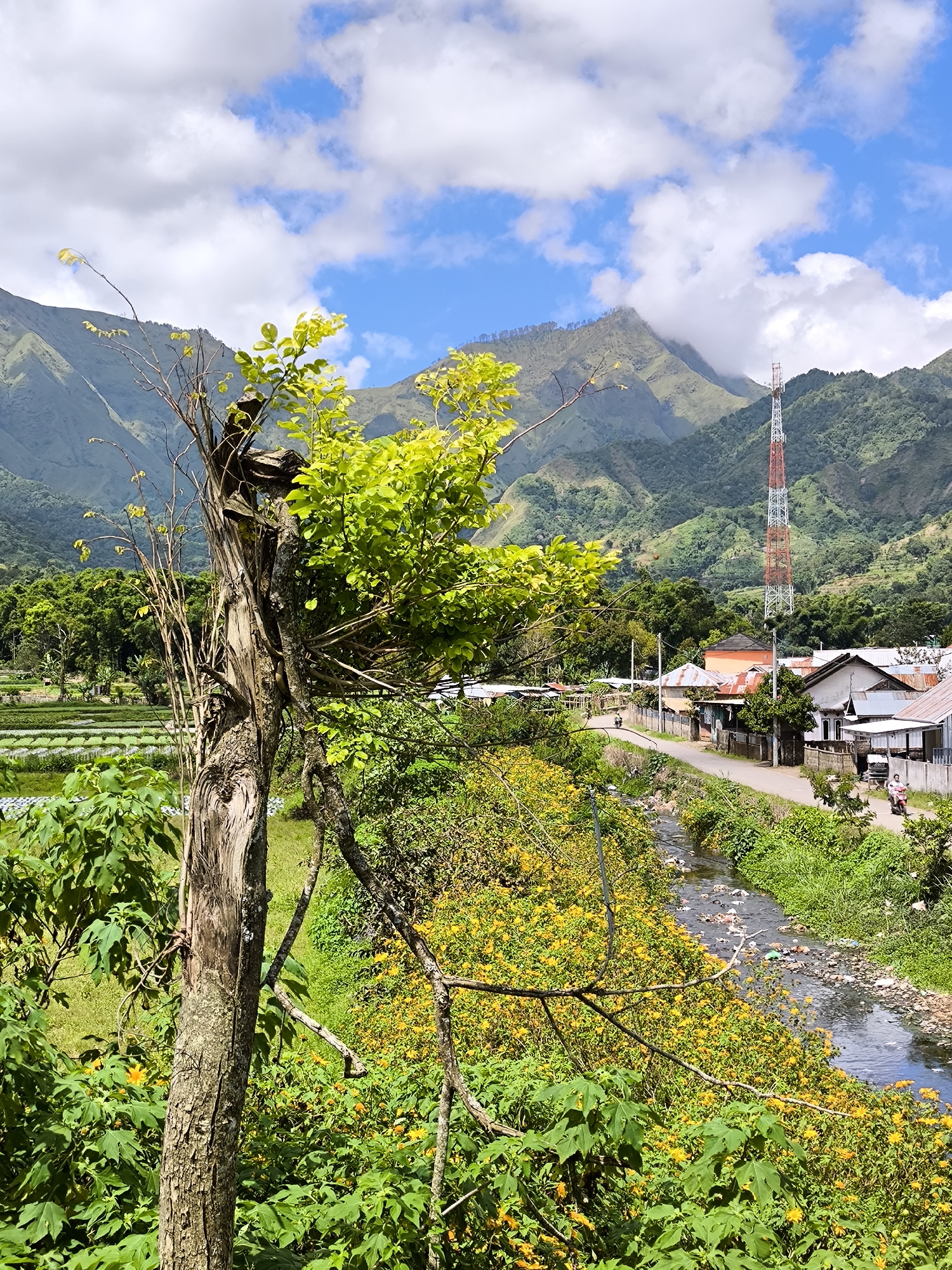 The image presents a landscape in Sembalun Bumbung, Indonesia, dominated by mountainous terrain in the background under a partly cloudy sky. In the midground, a village scene unfolds along a road adjacent to a flowing stream. The scene shows single-story houses with varying roof colors, indicating residential areas. A communications tower is positioned near the houses, likely for local signal transmission.
In the foreground, the composition features a partially dead tree, and abundant yellow flowers and green foliage. Agricultural fields can be observed on the left, contributing to the rural character of the location. Along the road, a motorcycle with two occupants indicates traffic. The stream contains visible debris, indicating possible pollution issues.