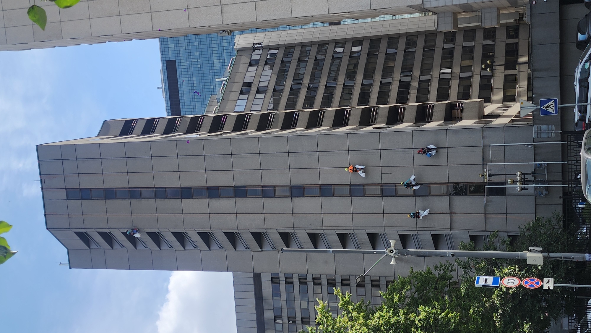 In Moscow, Russia, a tall, grey, concrete building with multiple floors and balconies has several people rappelling down its facade. They are attached to ropes and are equipped with safety harnesses. Some of them are carrying white cloths, suggesting they are engaged in window washing or facade cleaning. The building is surrounded by other structures, including a modern glass skyscraper in the background. A large green tree is visible in the foreground, as well as street signs, including a "30" speed limit sign and a bus stop sign. The sky is blue with some clouds.