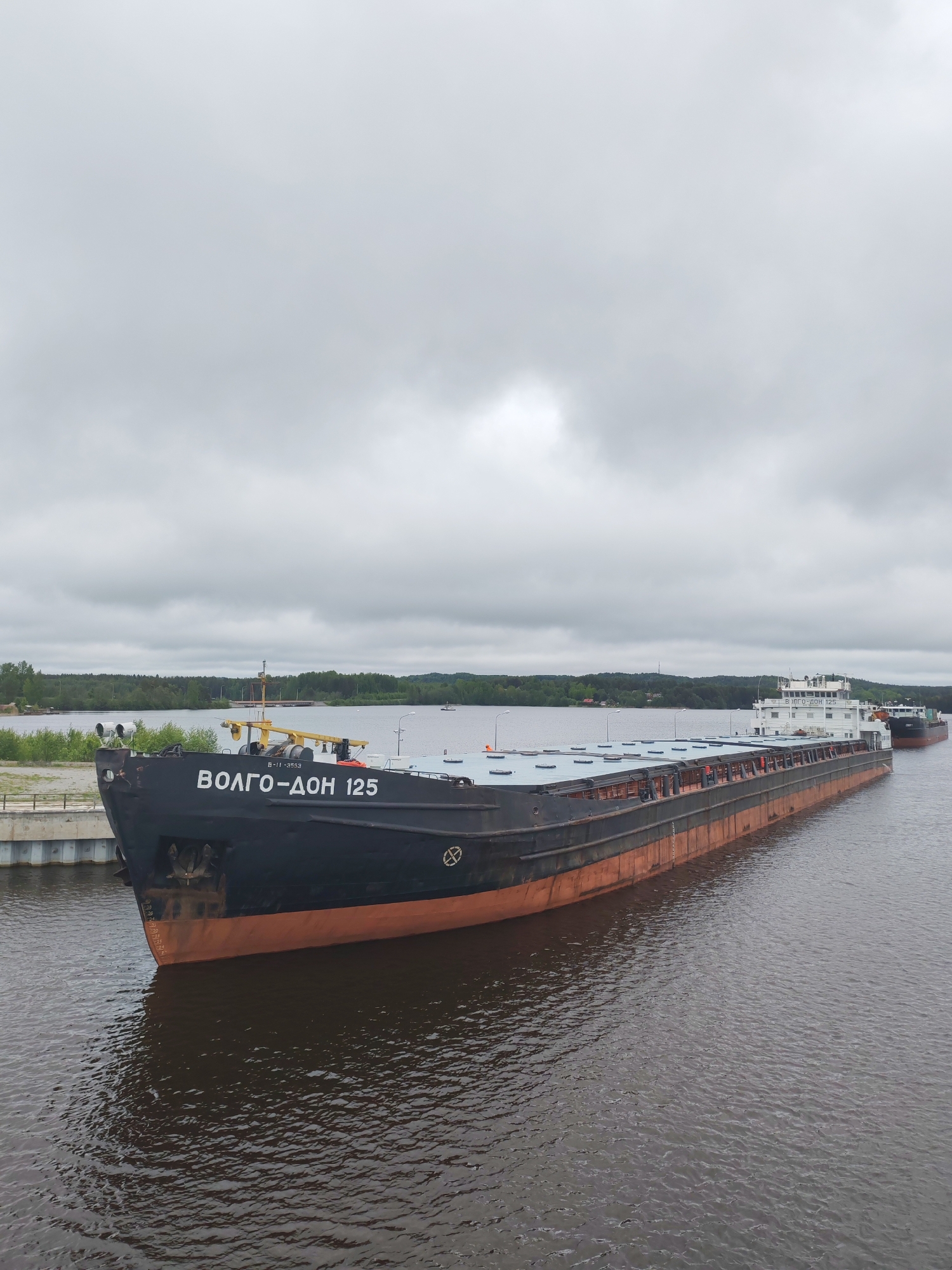 The image shows a large cargo ship, "Волго-Дон 125," docked on a waterway. The sky is overcast. The ship is primarily black with a rusty orange lower hull. The water is dark and rippled. In the background is a shoreline with trees. Based on the ship's name and the mention of Белоусово in the prompt, it is likely taken on the Volga-Don Canal, near Белоусово, Russia.