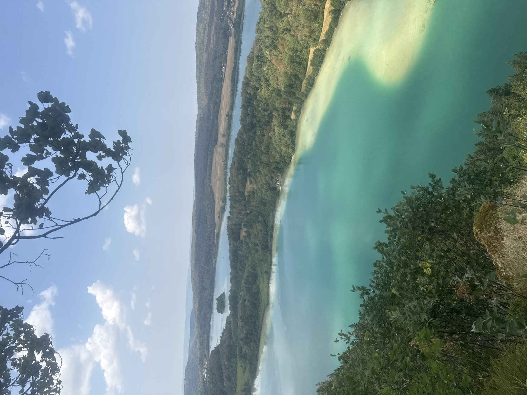 The image is a landscape view from a high vantage point overlooking multiple lakes and surrounding land. In the foreground, lush green foliage and dry grasses are visible on a slope. The main subject is the series of lakes, characterized by their striking turquoise and lighter, sandy-colored waters. The lakes are bordered by dense green forests and rolling hills in the background, with some fields and a few scattered buildings. The sky is a bright blue with scattered white clouds. The perspective suggests the photograph was taken on a clear, sunny day from a clifftop or elevated viewpoint in the vicinity of La Chaux-du-Dombief, France, known for its natural beauty and lakes. There are no people or animals visible in the frame.
