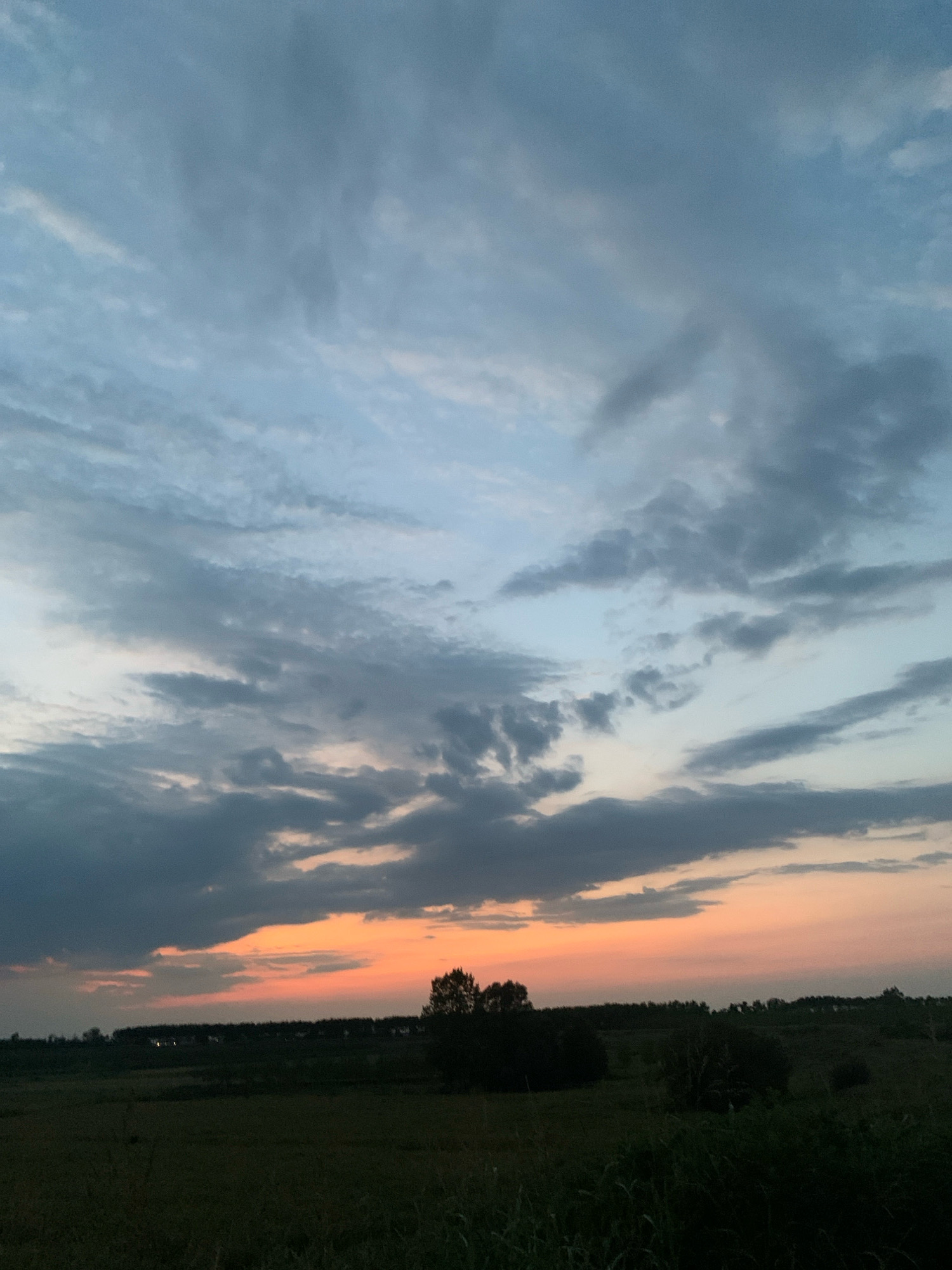 The image depicts a rural landscape under a twilight sky. A vast expanse of clouds, tinged with shades of blue, gray, and hints of orange near the horizon, dominates the upper portion of the frame. Below the sky, a dark silhouette of trees and vegetation stretches across the middle ground, with a faint line of lights suggesting a distant settlement. The foreground is a dark, out-of-focus field. The scene is static and devoid of human presence. The location in Ariano, Italy is not discernible from the visual information provided.
