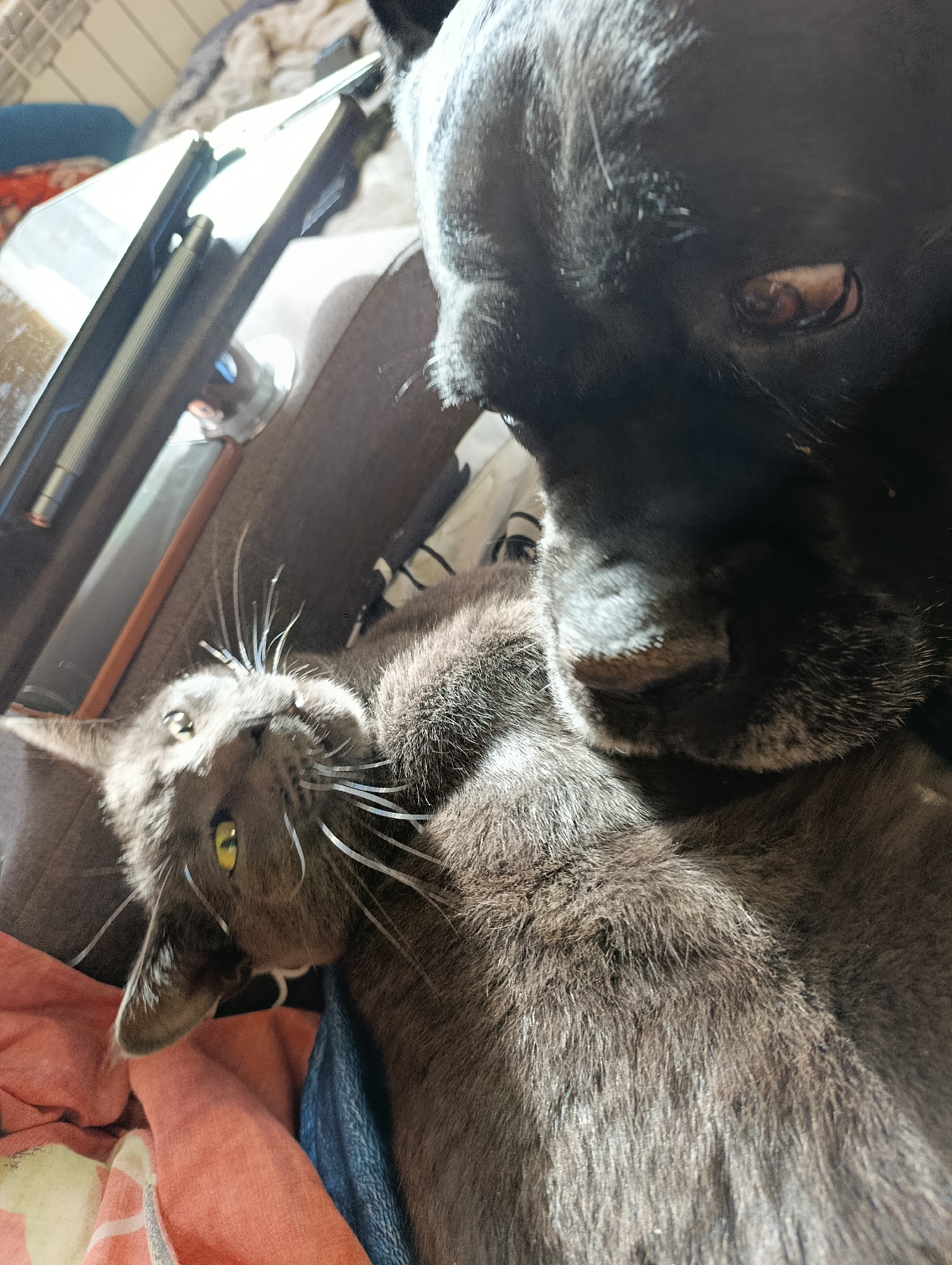 Memory