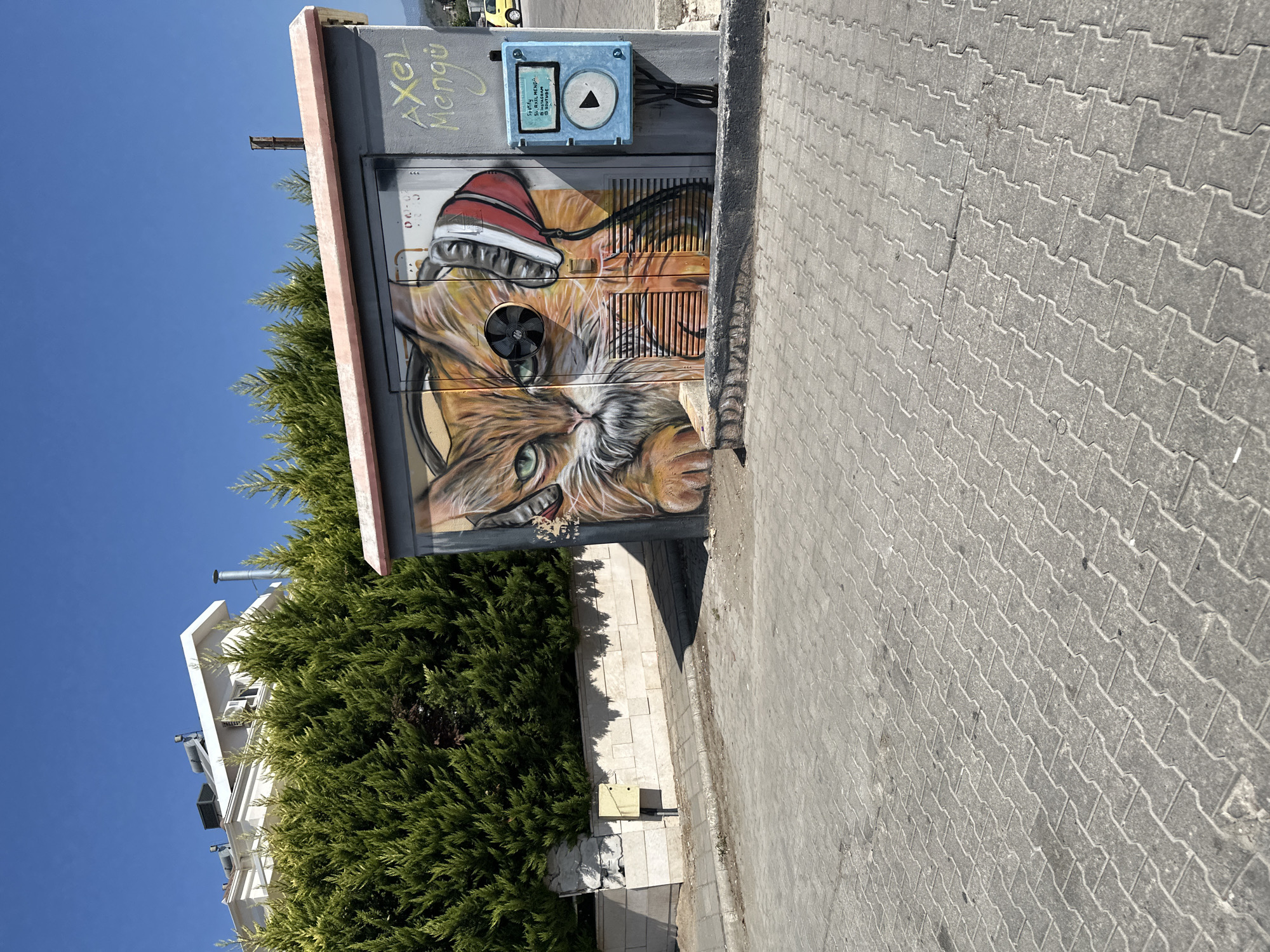 The image depicts a street-level view of an outdoor utility box adorned with vibrant graffiti art, located in Fethiye, Turkey. The artwork features a large, anthropomorphic cat wearing headphones, its gaze directed towards the viewer. The cat's fur is rendered in warm orange and brown tones, with striking green eyes. To the right of the cat mural, a blue rectangular panel is mounted on the utility box, designed to resemble a music player interface, complete with a play button icon and text that appears to be a Spotify playlist title and a YouTube channel handle. The text reads "Spotify SL AXEL MENGU @YOUTUBE". The utility box itself is painted gray and has a pink-ish trim.
In the background, a dense row of green coniferous trees lines a low stone wall. Behind the trees, a modern white building with solar panels and an air conditioning unit is visible under a clear blue sky. The ground in the foreground is paved with interlocking gray concrete blocks, typical of pedestrian areas or parking lots. A small section of a light-colored road is also visible to the far right, with a yellow car parked in the distance. The overall scene suggests an urban environment with artistic embellishments.