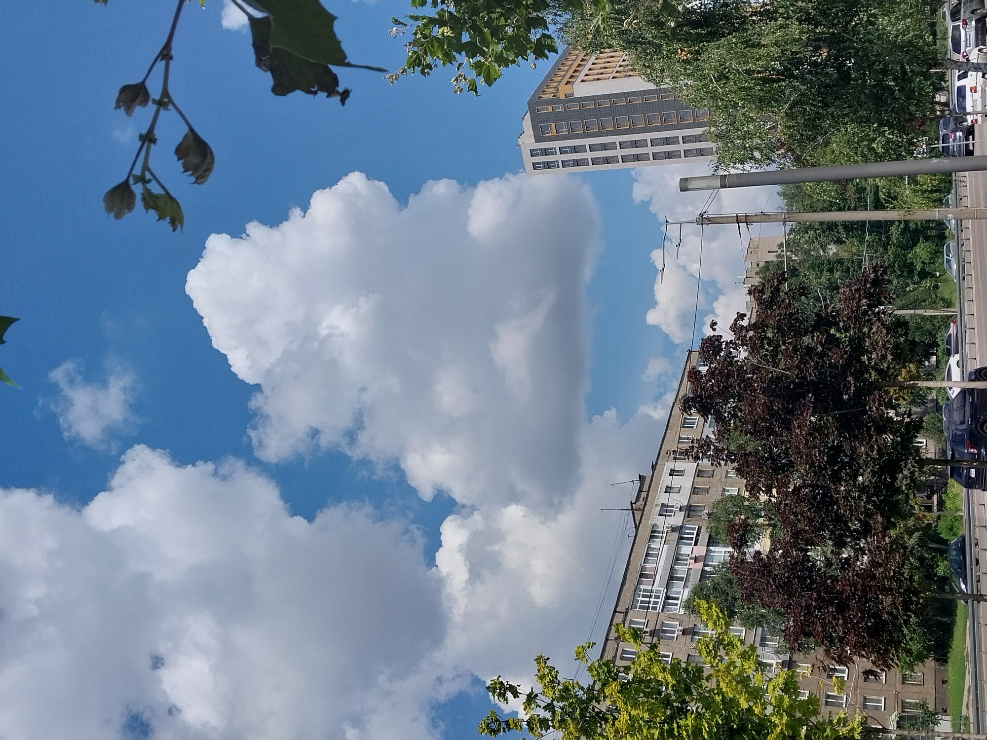 The image shows a street scene in Dnipro, Ukraine, with several buildings and trees. The sky is blue with some white clouds. In the foreground, there is a street with cars and trees. In the background, there are two buildings. The building on the left is a multi-story apartment building with a grey facade and many windows. The building on the right is a modern high-rise building with a glass facade. There are also several trees with green leaves and some with dark red leaves. The image appears to have been taken on a sunny day.