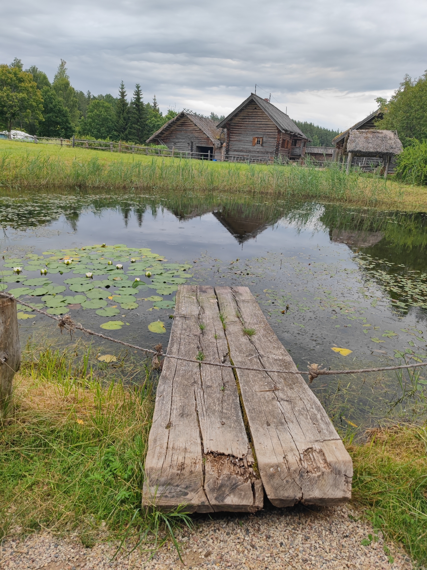 In the village of Bugrovo, Russia, a rustic wooden pier extends into a dark, calm body of water reflecting the overcast sky and surrounding trees. Water lilies with white blossoms dot the surface of the water. In the background, traditional wooden houses with thatched roofs and wooden fences are nestled amongst lush green trees. The foreground is a gravel path with grass and reeds along the water's edge.
