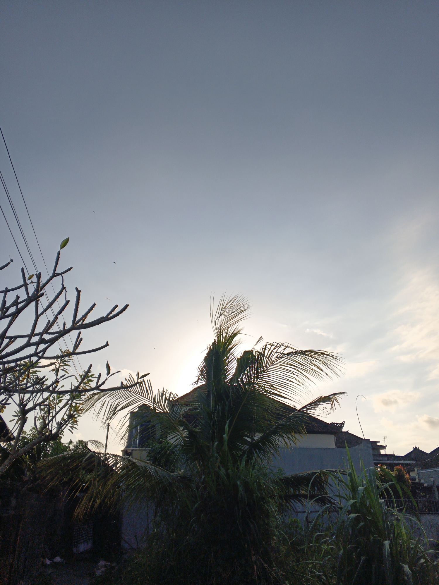 The image depicts a view of residential structures and vegetation under a pale blue sky with some wispy clouds. The sun is setting or rising, creating a bright, hazy glow behind a palm tree in the foreground. The architecture suggests a tropical or subtropical location, with traditional rooflines visible on some buildings. Several utility wires traverse the upper left portion of the frame. The lower part of the image is dominated by dense foliage, including a palm tree with its characteristic fronds, a bare-branched tree, and tall grasses. There are no people visible in the scene. The overall impression is one of a quiet, residential area during either dawn or dusk. The location is identified as Sukawati, Indonesia.