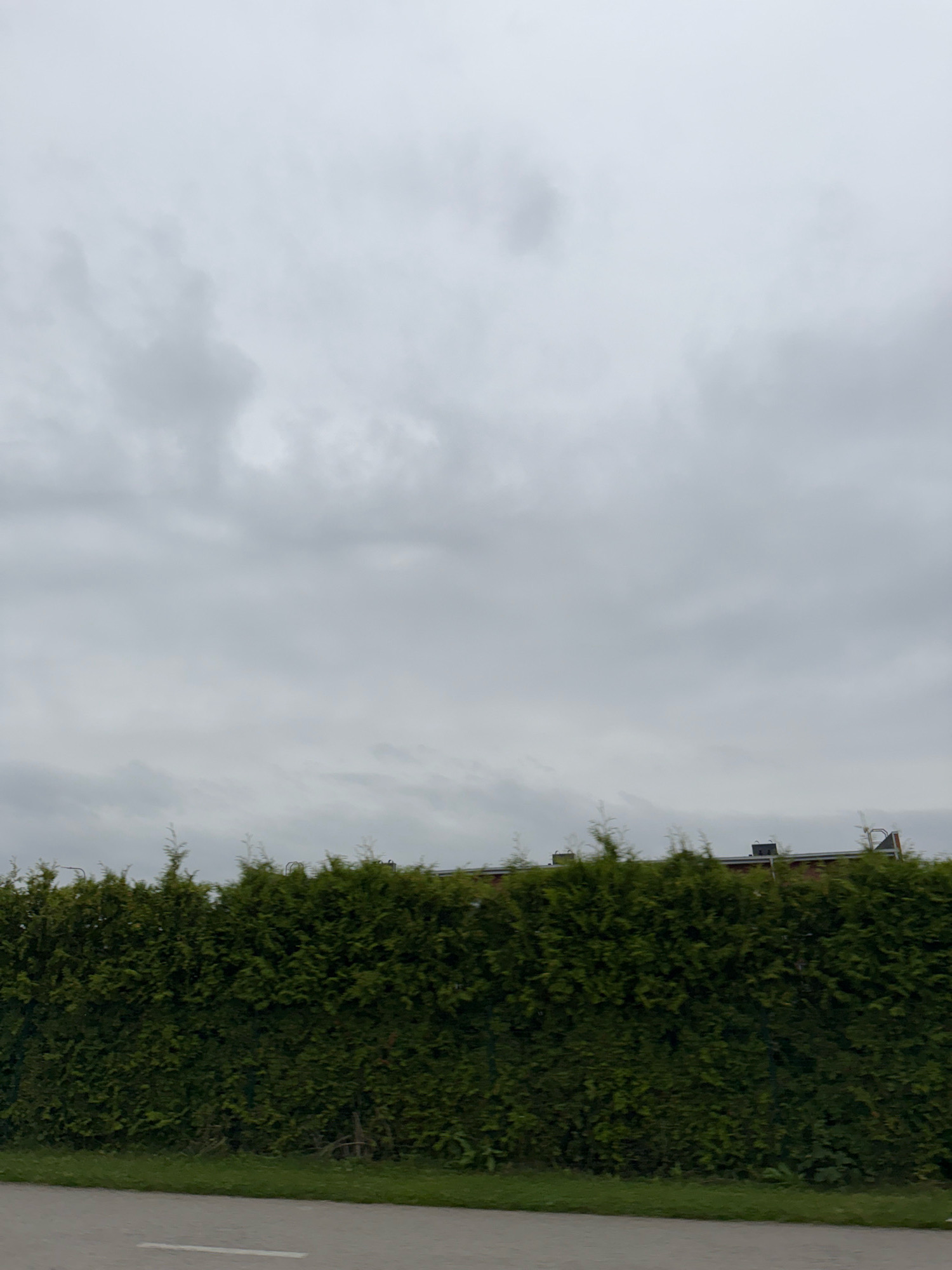 A wide, horizontal outdoor shot captures a dense, dark green hedge that extends across the lower third of the frame. The hedge is in focus and appears to be a trimmed row of cypress trees. A paved surface, possibly a road or sidewalk, is visible at the very bottom of the image, with a faint white line marking its edge. Above the hedge, the sky is overcast and gray, with soft, diffused clouds dominating the upper two-thirds of the image. The top edge of a building with a dark roof is visible just above the hedge, peeking through the foliage. The setting appears to be in Peetri alevik, Estonia, on a cloudy day. There are no people or animals visible in the image.