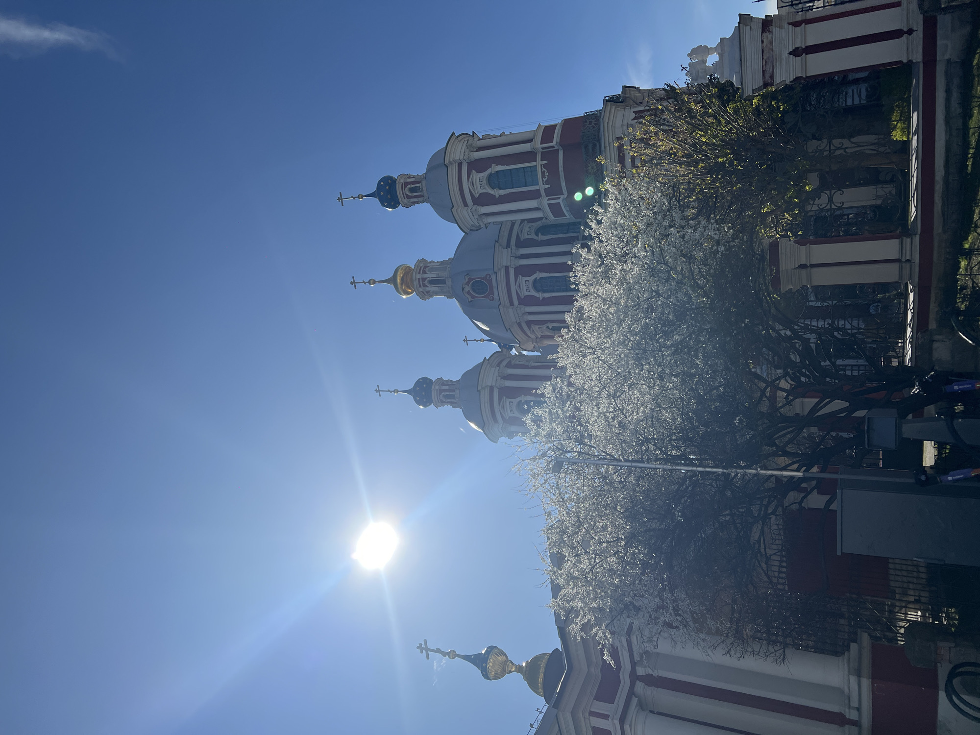 The image depicts the Novodevichy Convent in Moscow, Russia. It's a sunny day with clear blue skies, and the sun is low in the sky, causing a glare. The convent's architecture features red and white buildings with multiple domes topped with crosses. A blossoming tree with white flowers partially obscures the view of one of the buildings. There are signs and lampposts in the foreground.