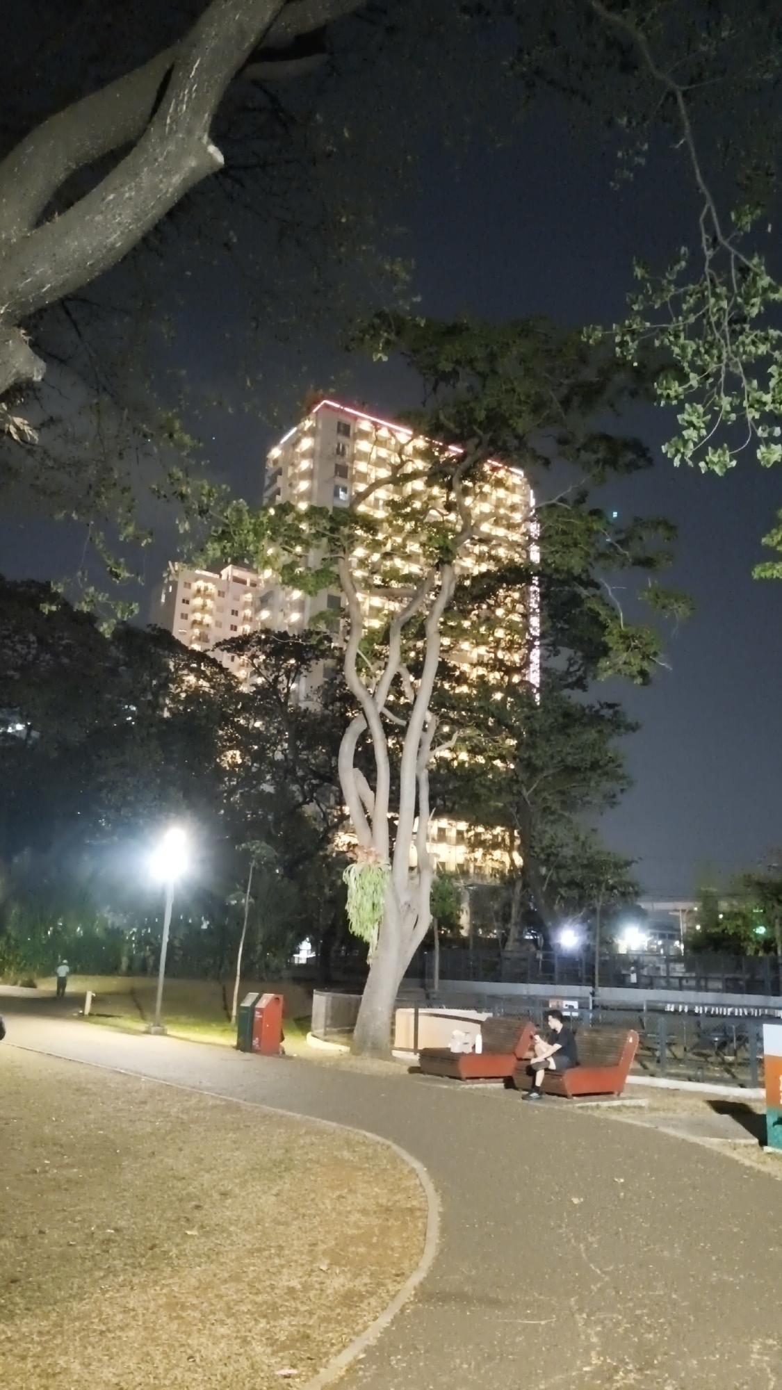 At night in a park in South Jakarta, Indonesia, a person is sitting on a red bench. The person, wearing dark clothing, is looking down at something in their lap. Two red and green trash cans are to the left of the bench, and a tree with green leaves is in front of the bench. Behind the tree, a tall building with many illuminated windows is visible. The park has a paved path that curves through it. A streetlamp is also visible in the distance.