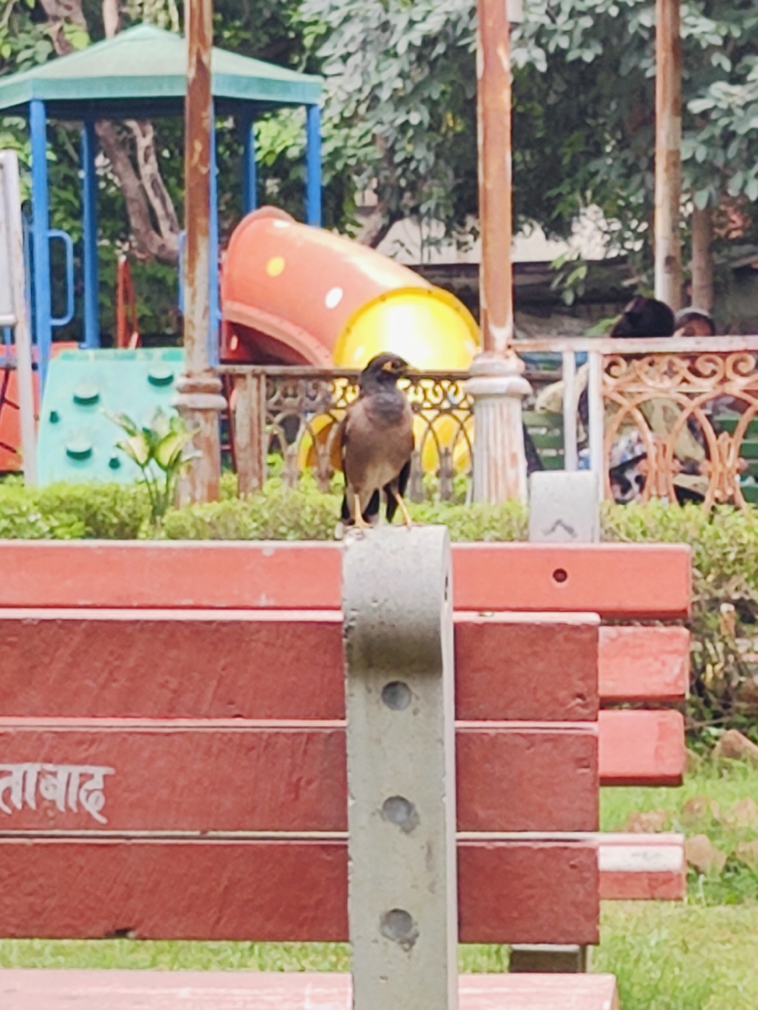 A common myna bird is perched on the edge of a concrete bench in a park. The bird is facing left, with its head turned towards the viewer. The background features a playground with a red and yellow slide, and a green and blue play structure. There are also several people sitting on benches in the background, and trees and bushes. The scene is likely in the city of Gurgaon, India, given the Hindi text visible on the bench in the foreground. The bench is made of red bricks and has some white text on it. The overall atmosphere is one of a public park on a clear day.