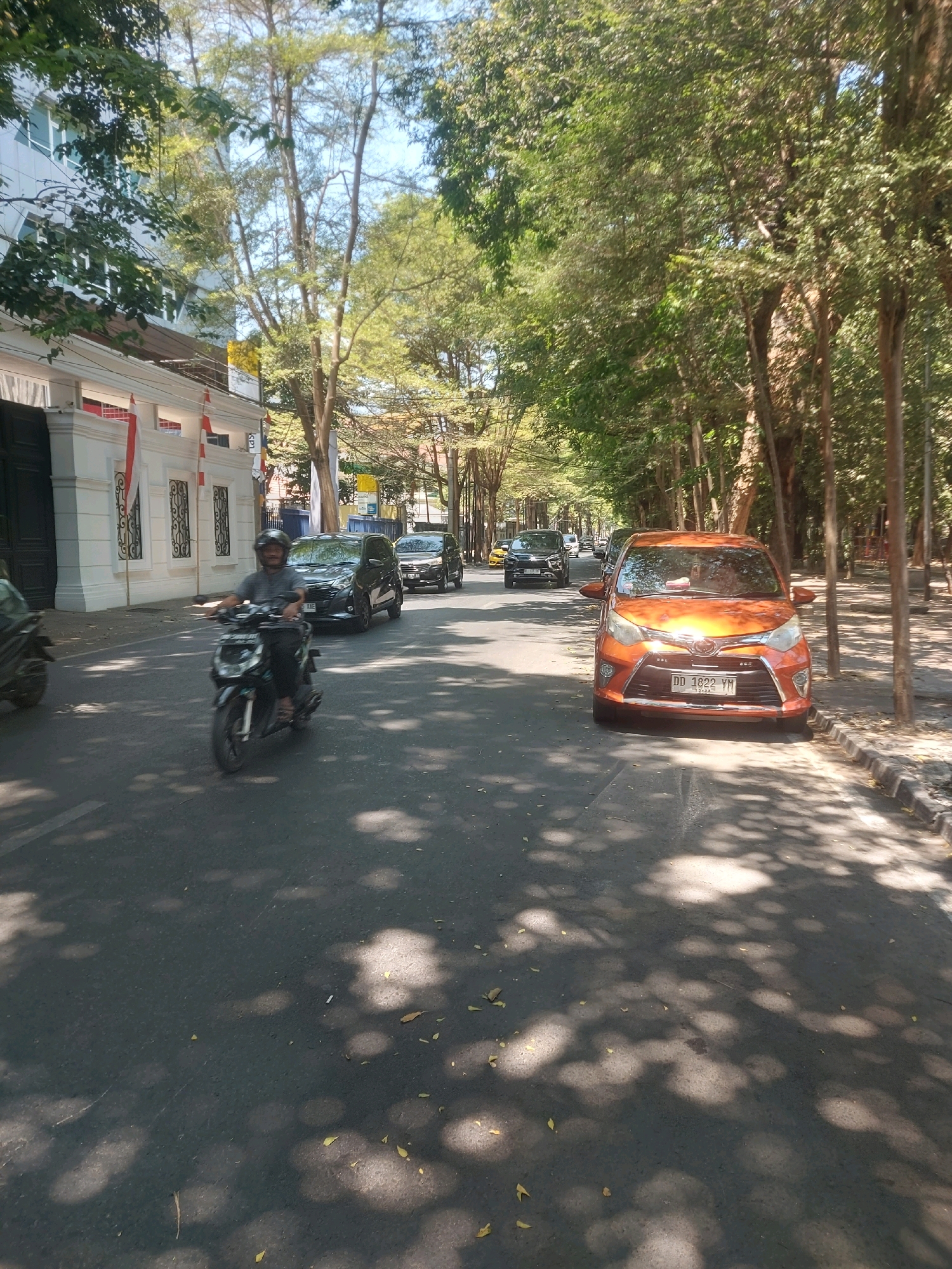 The image depicts a sun-dappled street scene in Makassar, Indonesia, likely in a residential or well-maintained urban area, given the presence of a large, white, colonial-style building on the left with ornate windows and decorative elements, and mature trees lining the right side of the road. The street itself is asphalt, with clear lane markings visible.
In the foreground, a person is riding a black scooter, wearing a grey shirt and a helmet. The scooter is in motion, suggesting ongoing traffic. Behind the scooter, a black car is following, and further down the road, another black car is visible. On the right side of the road, an orange car is parked or moving slowly. The orange car has a license plate that reads "DD 1622 YM".
The environment is characterized by lush green trees casting shadows on the road, indicating a sunny day. The architecture of the building on the left, with its white facade and red and white flags, suggests a possible official building or a historically significant property. The overall atmosphere is that of a typical day in a moderately busy Indonesian city.
