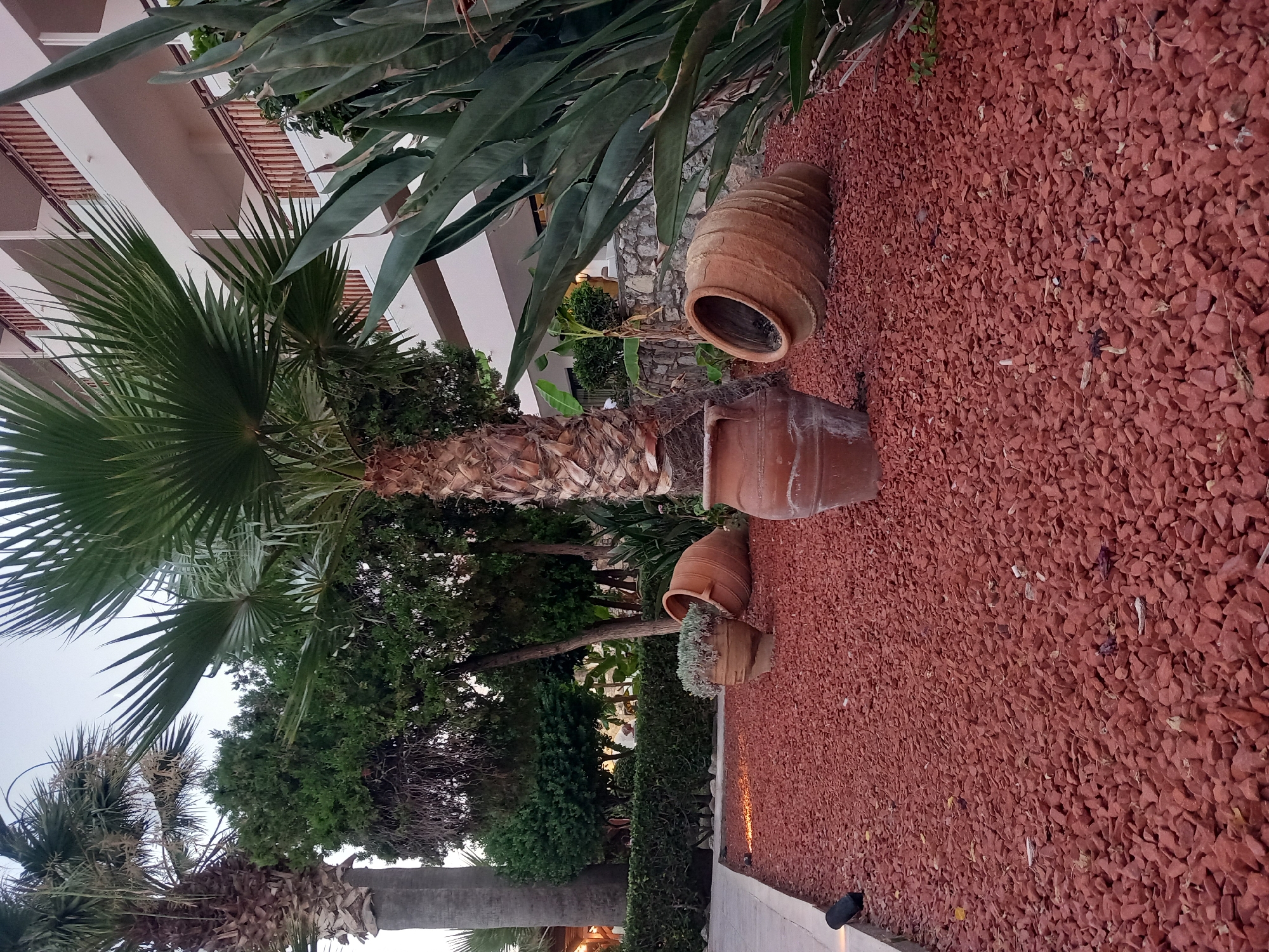 An exterior medium shot captures a landscaped area with a paved walkway on the left, leading to a ground covered in small, reddish-brown stones. In the foreground, three large, terracotta amphorae are scattered amongst the stones. One amphora stands upright, containing a small, gray-leafed plant. Two other amphorae are tilted on their sides, with their openings facing upwards. Behind the amphorae, lush green foliage, including palm trees and bushes, creates a vibrant backdrop. A multi-story building with balconies and wooden railings is visible in the upper right quadrant of the image. The sky is a pale, hazy blue, suggesting it is either dawn or dusk. The scene appears to be in a resort or residential area, possibly in a warm climate.