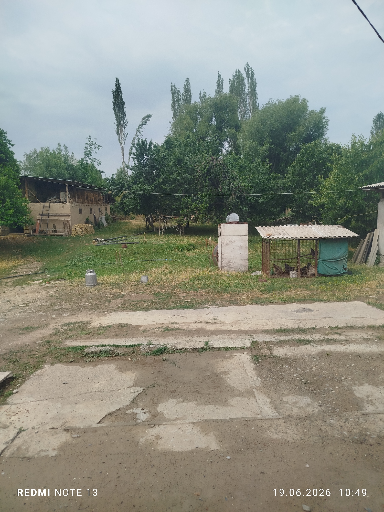 The image depicts a rural scene in Асан-Чек, Kyrgyzstan, under an overcast sky. In the foreground, a concrete path, partially weathered and cracked, leads into a yard. To the left, a large, silver milk can stands on the grass. Further into the yard, a rustic, mud-brick structure with a wooden roof is visible, appearing to be an animal enclosure or storage shed. Adjacent to this is a smaller, caged structure with a corrugated metal roof, housing several chickens. In the background, a larger, older building with a straw-covered roof and a ladder leaning against it suggests agricultural activity. Numerous trees, mostly deciduous, populate the area, with some tall, slender trees reaching towards the sky. The overall environment appears to be a farm or a homestead.