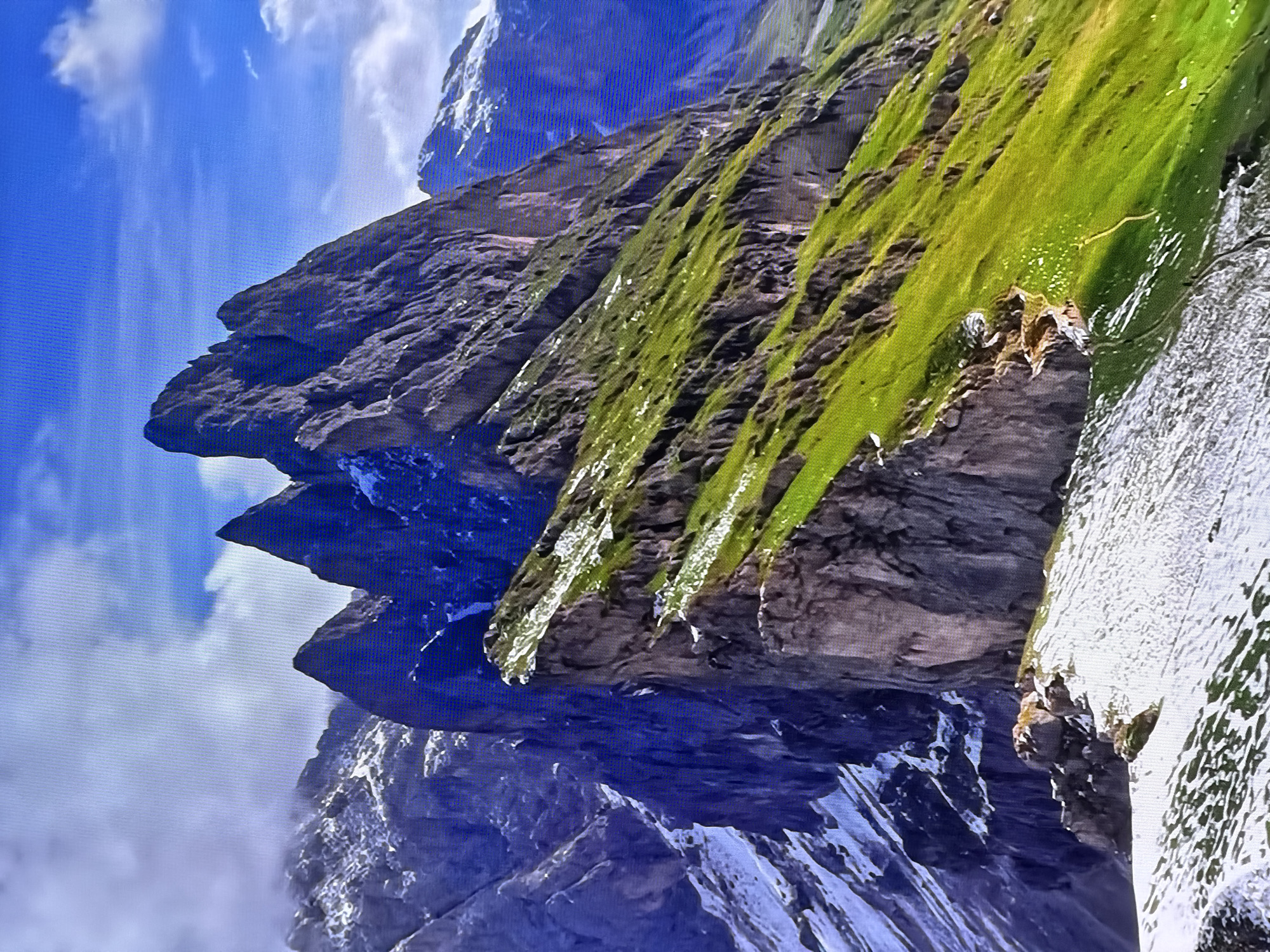 The image depicts a majestic mountain range with jagged peaks piercing a bright blue sky dotted with white clouds. The mountains are a mix of dark, rugged rock and steep, vibrant green slopes covered in patches of snow. The foreground features a snowy mountainside with tufts of grass emerging through the white blanket. The overall impression is one of rugged, natural beauty. The image is not of the city of Chirchik, Uzbekistan.