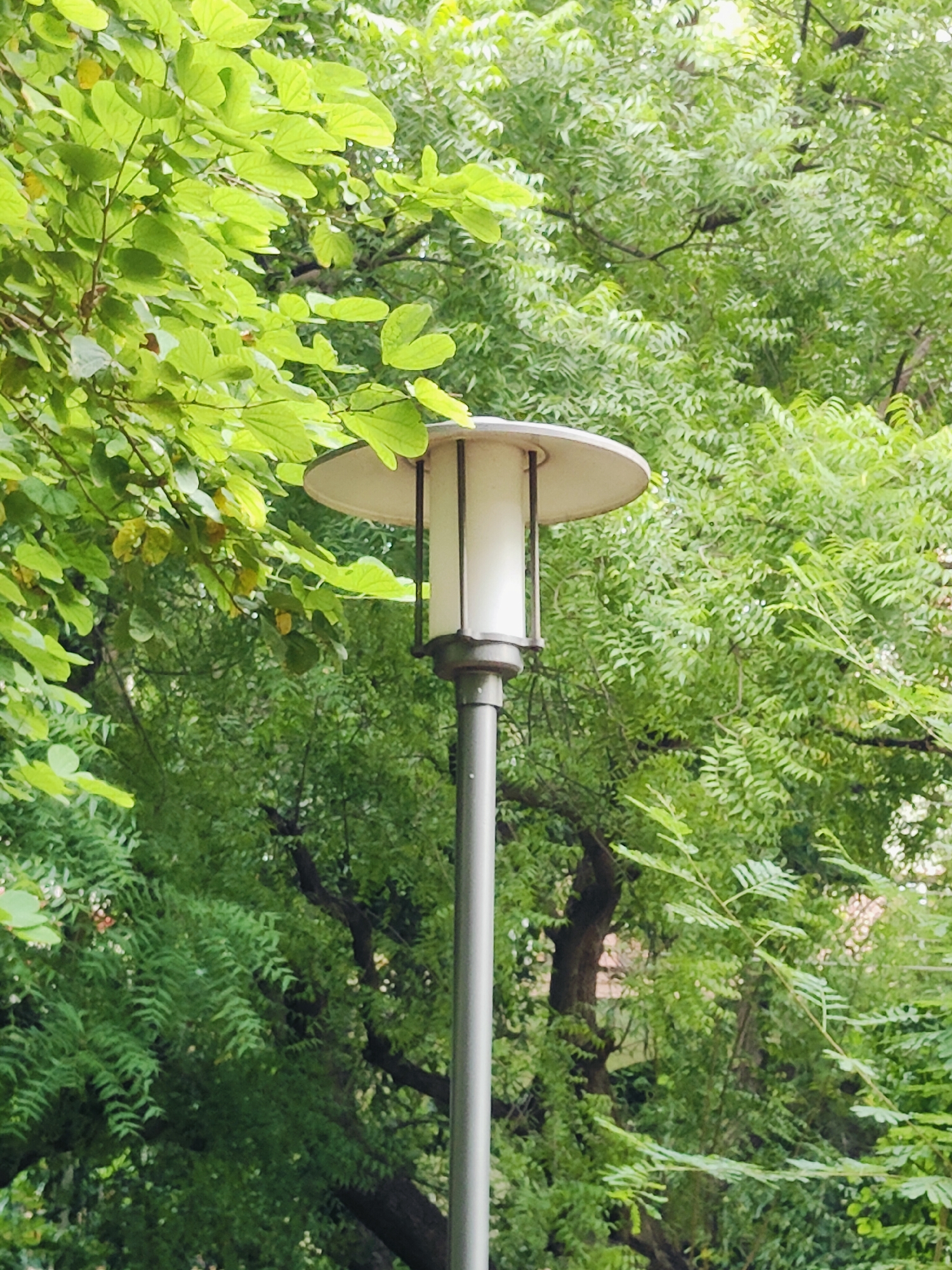 A street lamp with a white cylindrical shade and a wide, flat brim is positioned centrally in the frame. The lamp is supported by a slender, gray pole that extends vertically from the bottom of the image. Lush green foliage, consisting of large, broad leaves in the foreground and smaller, feathery leaves in the background, surrounds the lamp, creating a verdant and natural setting. The overall impression is one of a park or a tree-lined street. The image does not provide any information about the city of Gurgaon, India, or any specific details about people, actions, or interactions.