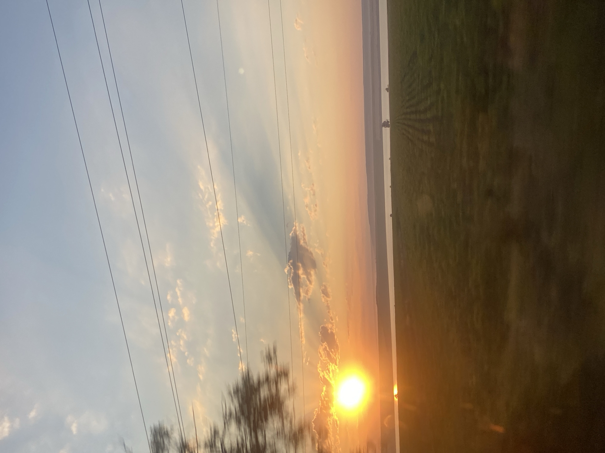The image captures a sunset scene in Balabanu, Moldova. The sun, a bright orb of light, is low on the horizon, casting a warm, golden glow across the sky and reflecting on the surface of a body of water. Wispy clouds are scattered across the sky, illuminated by the setting sun. In the foreground, a field of green crops is visible, with rows clearly defined by shadows. A solitary tractor is positioned in the field, near the edge of the water. In the distance, a hazy landscape of rolling hills can be seen. Several power lines are strung across the sky, partially obscuring the view. The overall impression is one of a serene, rural landscape at dusk.