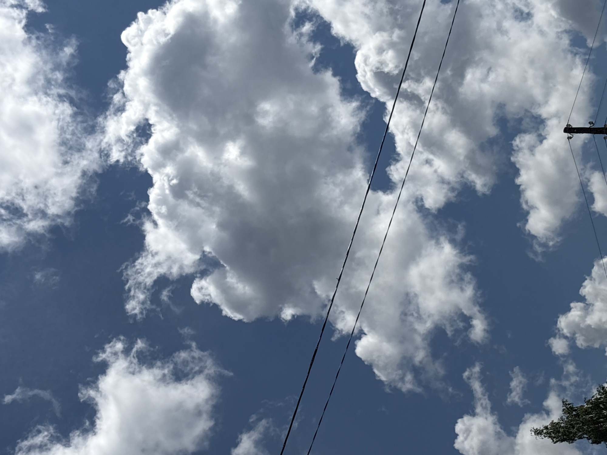 A vertical, eye-level outdoor photograph captures a bright, partly cloudy sky. Two black wires stretch horizontally across the frame, bisecting the image. In the lower left corner, the top of a dark green tree is visible, its foliage dense. In the lower right corner, a wooden utility pole with wires extends upwards. The sky is a vibrant blue, dotted with fluffy white clouds that cast subtle shadows. The overall scene suggests a clear, daytime atmosphere.