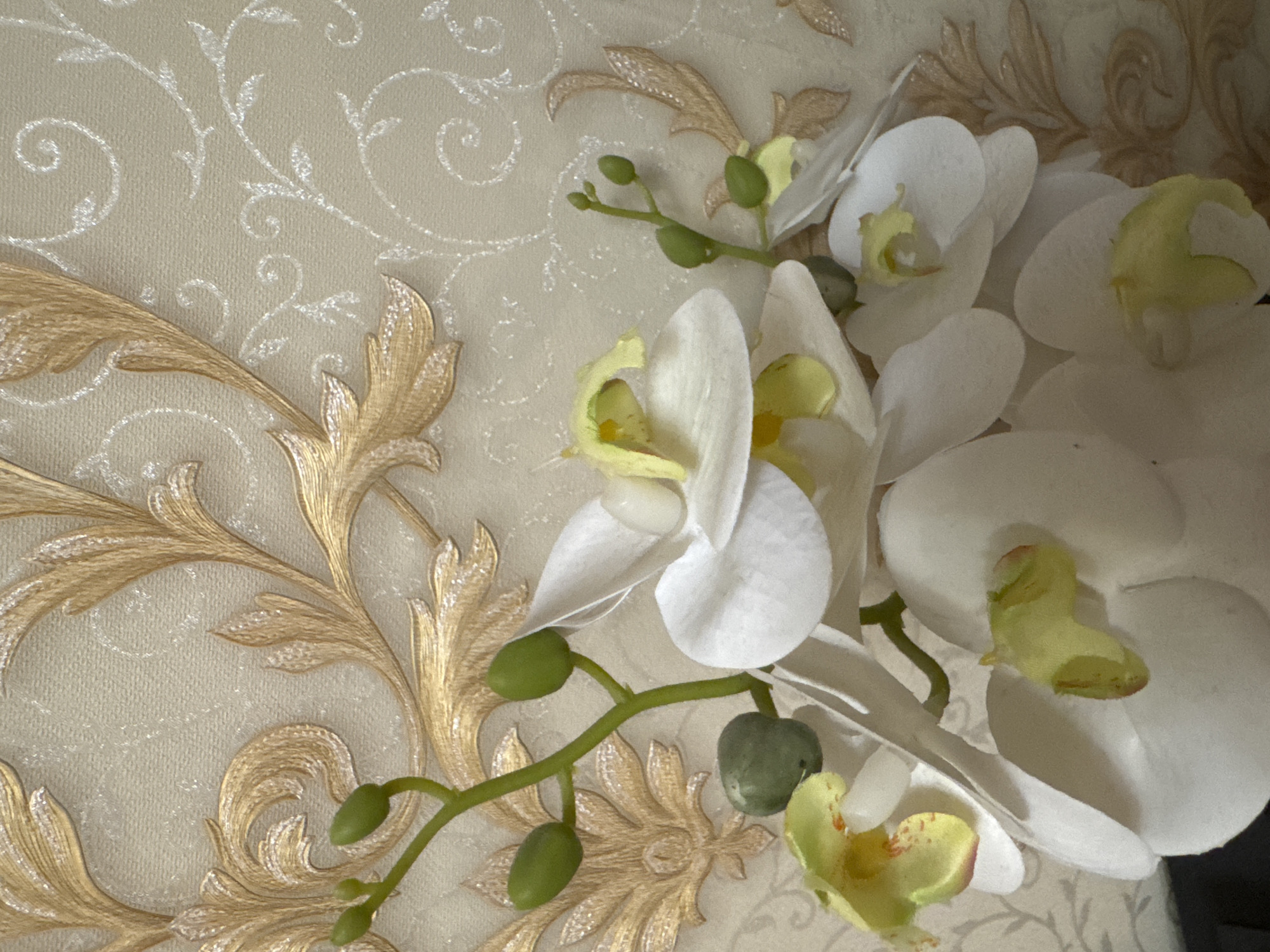 The image shows a close-up of artificial white and yellow orchids against a cream-colored wallpaper with an embossed gold floral pattern. The wallpaper has a textured finish and features ornate scrolling leaves and floral motifs. Several orchid buds, which are green and oval-shaped, are visible on green stems. Some of the orchids have white petals with yellow accents and red speckles in their centers. The lighting appears to be soft and diffused. There are no people or animals present in the image. The image is a still photograph and does not depict any specific location within the city of Omsk, Russia; it is a generic indoor decorative scene.
