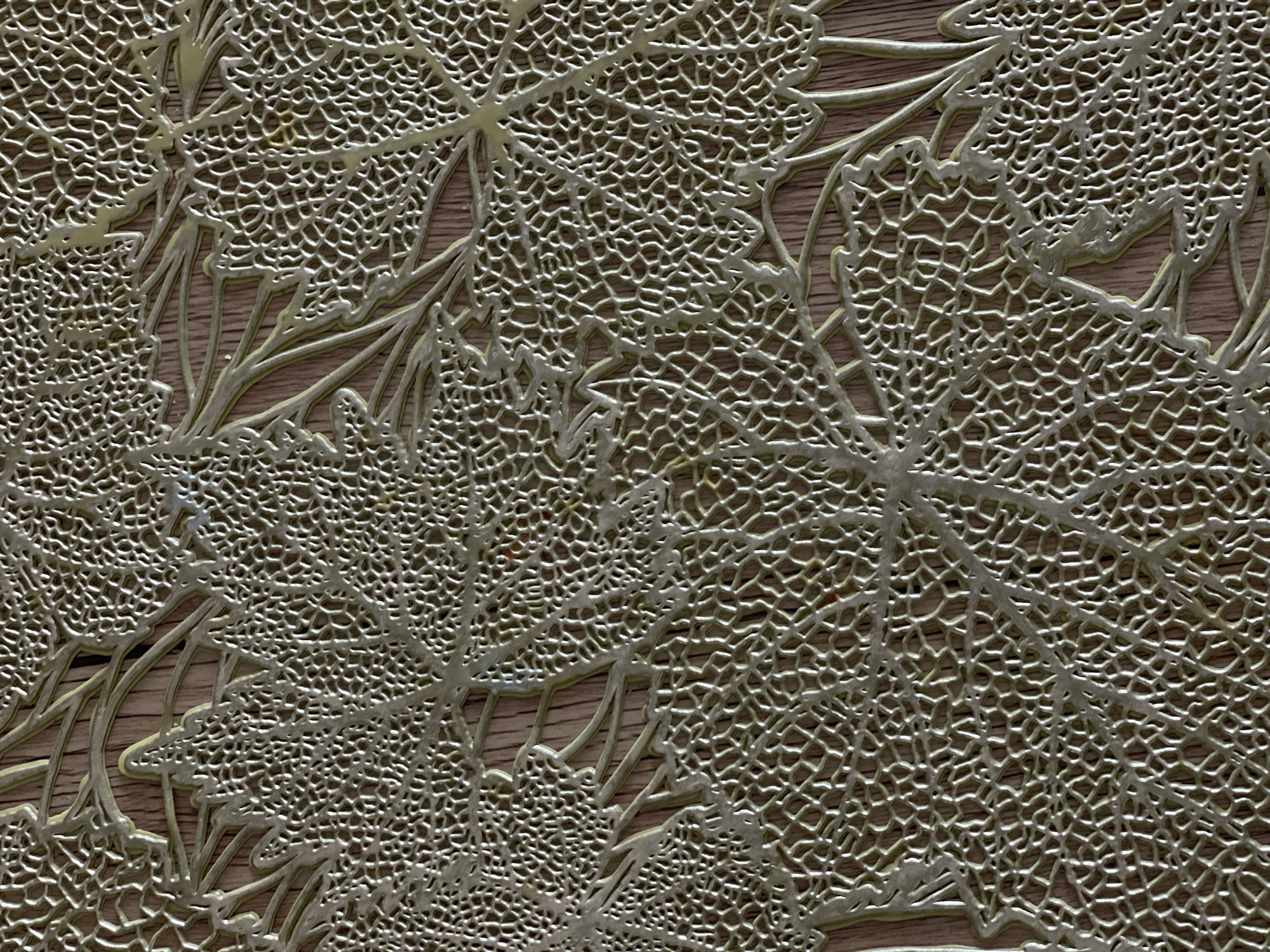 This media file is a close-up, overhead shot of a decorative placemat with a detailed leaf vein pattern. The placemat appears to be made of a metallic material, possibly silver or gold, and is laid over a wooden surface. The leaf pattern is intricate, with fine, interconnected lines forming the veins of multiple leaves that overlap and extend across the frame. The texture of the placemat is raised and has a subtle sheen, reflecting light and creating a sense of depth. The wooden background is visible through the open spaces of the leaf veins, showing a warm, natural wood grain with horizontal lines. The lighting appears to be even, suggesting an indoor setting with diffused light. There is no discernible activity or event taking place; the image focuses solely on the texture and pattern of the placemat and the underlying wood. No people, text, or specific location cues are visible within the frame. The overall impression is one of elegant, naturalistic design and subtle sophistication.
