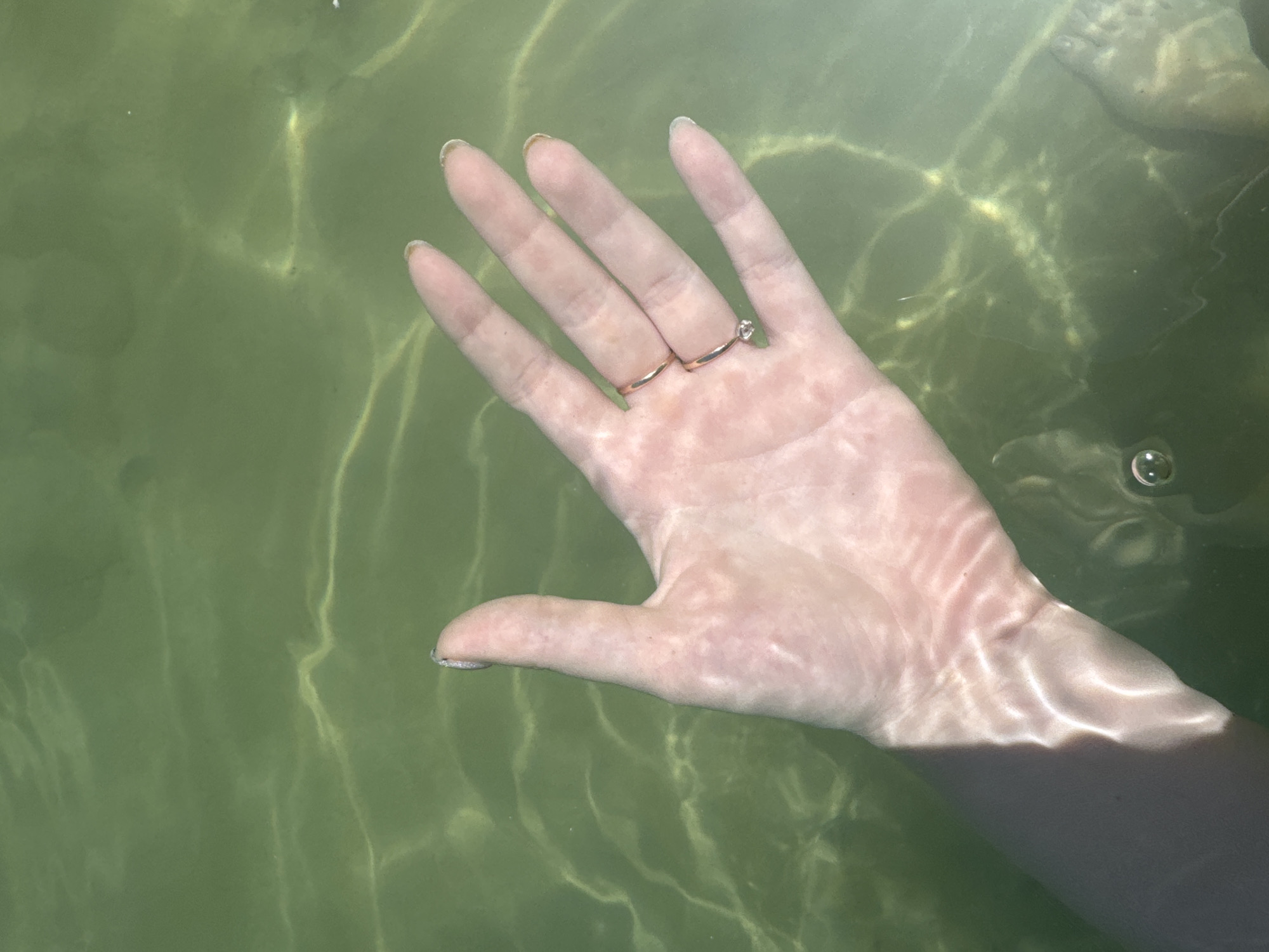 A close-up, overhead shot shows a person's left hand submerged in murky green water. Sunlight refracts through the water, creating wavy patterns on the skin. The hand is open, palm up, with fingers slightly curved. Two rings are visible on the fingers: a thin gold band on the ring finger and another thin gold band with a small, clear stone on the middle finger. The fingernails appear to be painted with a light color. The background is the water, which has a green hue and appears slightly cloudy with subtle variations in light and shadow.