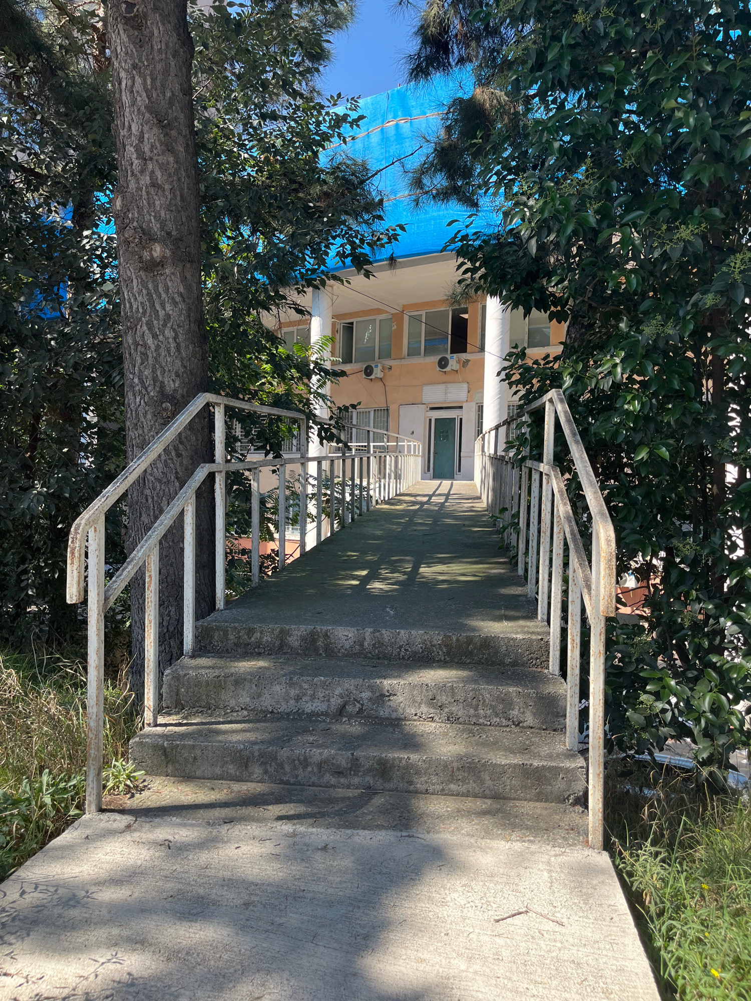 The image shows an outdoor ramp and stairs leading to a light-colored building with a light blue tarp covering the upper portion. The ramp and stairs are made of concrete and have rusty white metal railings. Large trees with green foliage are on either side of the ramp, partially obscuring the view of the building. The building has multiple windows, air conditioning units, and white columns on its facade. A green door is visible at the end of the ramp. The environment appears to be overgrown with grass and vegetation. The scene suggests an entrance to a building in an urban or semi-urban setting, possibly in Tbilisi, Georgia, given the architectural style and vegetation.