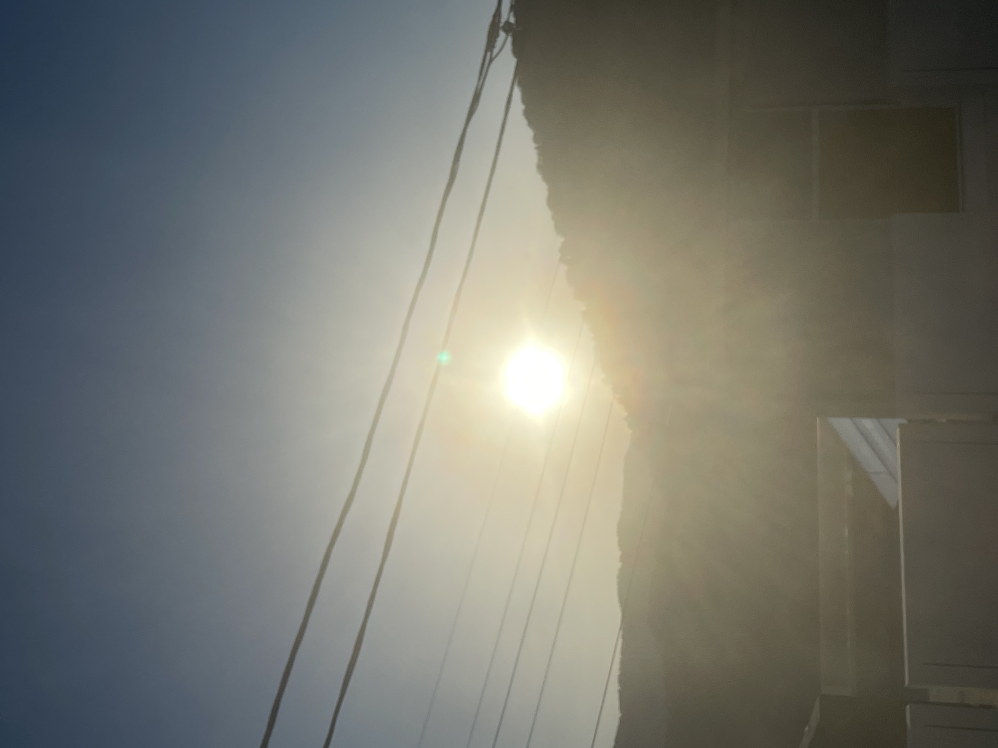 The image displays an outdoor scene characterized by intense sunlight and severe backlighting, suggesting it was captured during a bright daytime, likely mid-day or late afternoon. The sun, a brilliant white orb emitting strong rays and causing significant lens flare (visible as green artifacts in closer crops), dominates the central-left portion of the frame.
The sky transitions from a deep blue-gray in the upper-left corner to a washed-out, hazy yellow and white around the sun, indicative of a clear atmosphere. Several dark, thin lines, identified as power or communication cables, traverse diagonally across the sky from the upper-left towards the lower-right, passing directly in front of the blinding sun.
On the right side of the frame, a light-colored building is partially visible. Its architectural details are largely obscured by the powerful glare and shadow, but faint outlines of windows or panels can be discerned on its upper section. The left edge of the building appears to be covered in dense, dark foliage or ivy, creating a distinct textured boundary against the illuminated sky. The perspective is an upward, angled view.
No discernible human activity or specific event is depicted. There is no visible text in the image. The scene offers a common view of utility lines and urban architecture under harsh, direct sunlight in what is identified as Baranovka, Russia.