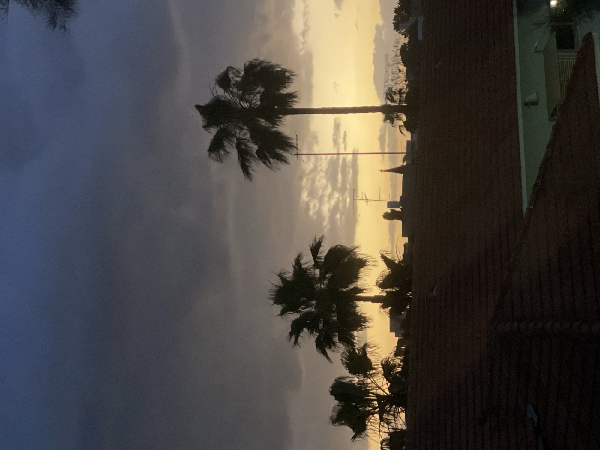 The image shows a view of Raanana, Israel at dusk or dawn. The sky is divided between a dark, stormy grey and a bright yellow-orange horizon. Silhouetted against the bright sky are several palm trees. In the foreground, a building with a dark, tiled roof and a light-colored wall is visible. Antennas and possibly streetlights are also silhouetted on the horizon.