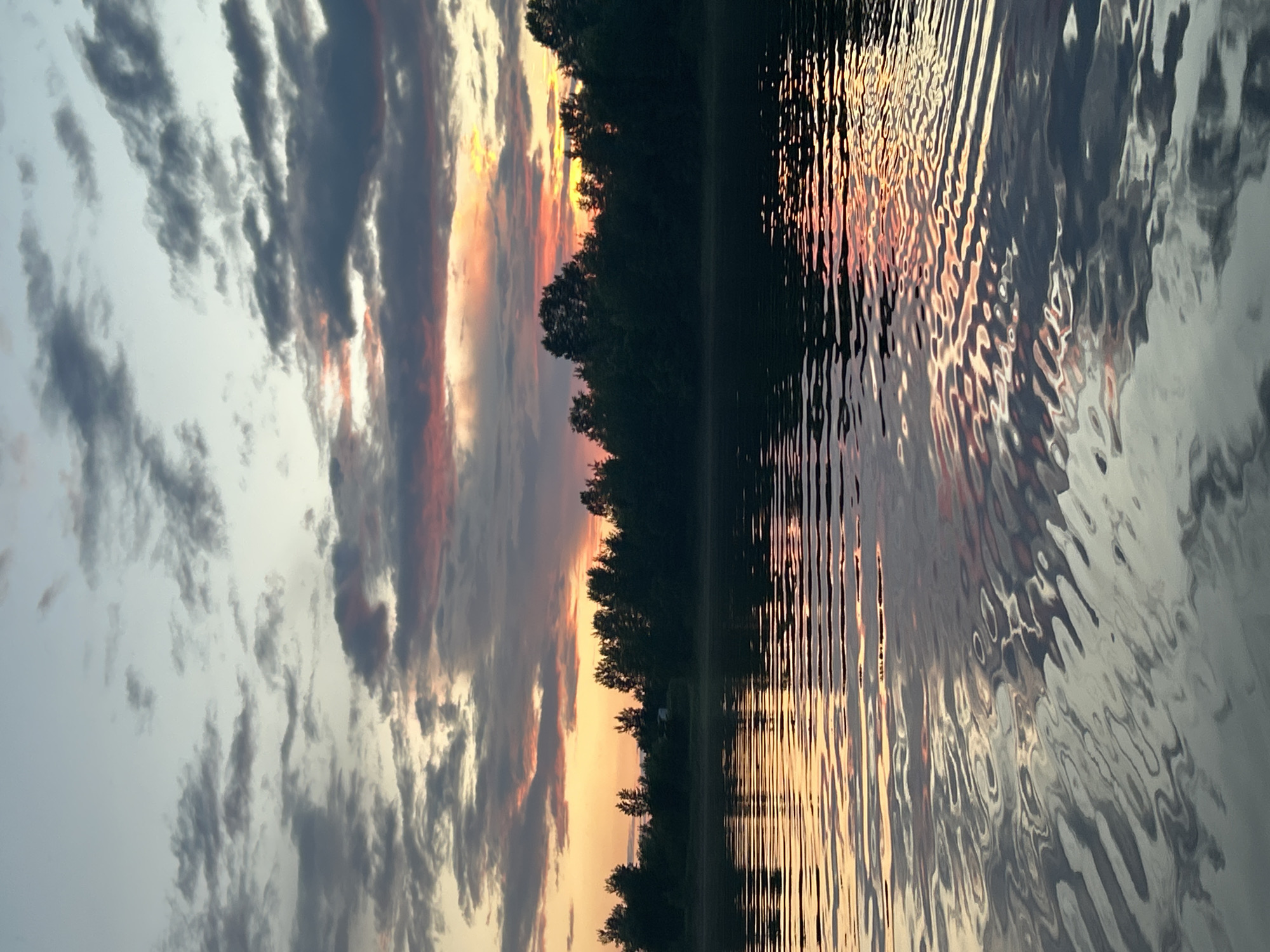 This is a vertical, eye-level, full shot of a sunset over a body of water. The sky is filled with scattered clouds, some of which are tinged with pink and orange from the setting sun. A silhouetted line of dark green trees forms the horizon. The water in the foreground is rippled, reflecting the colors of the sky and the trees, creating streaks of orange, pink, and dark gray. The scene appears to be a natural landscape, possibly a lake or a wide river, near Noviy, Russia. No people or man-made objects are clearly visible.