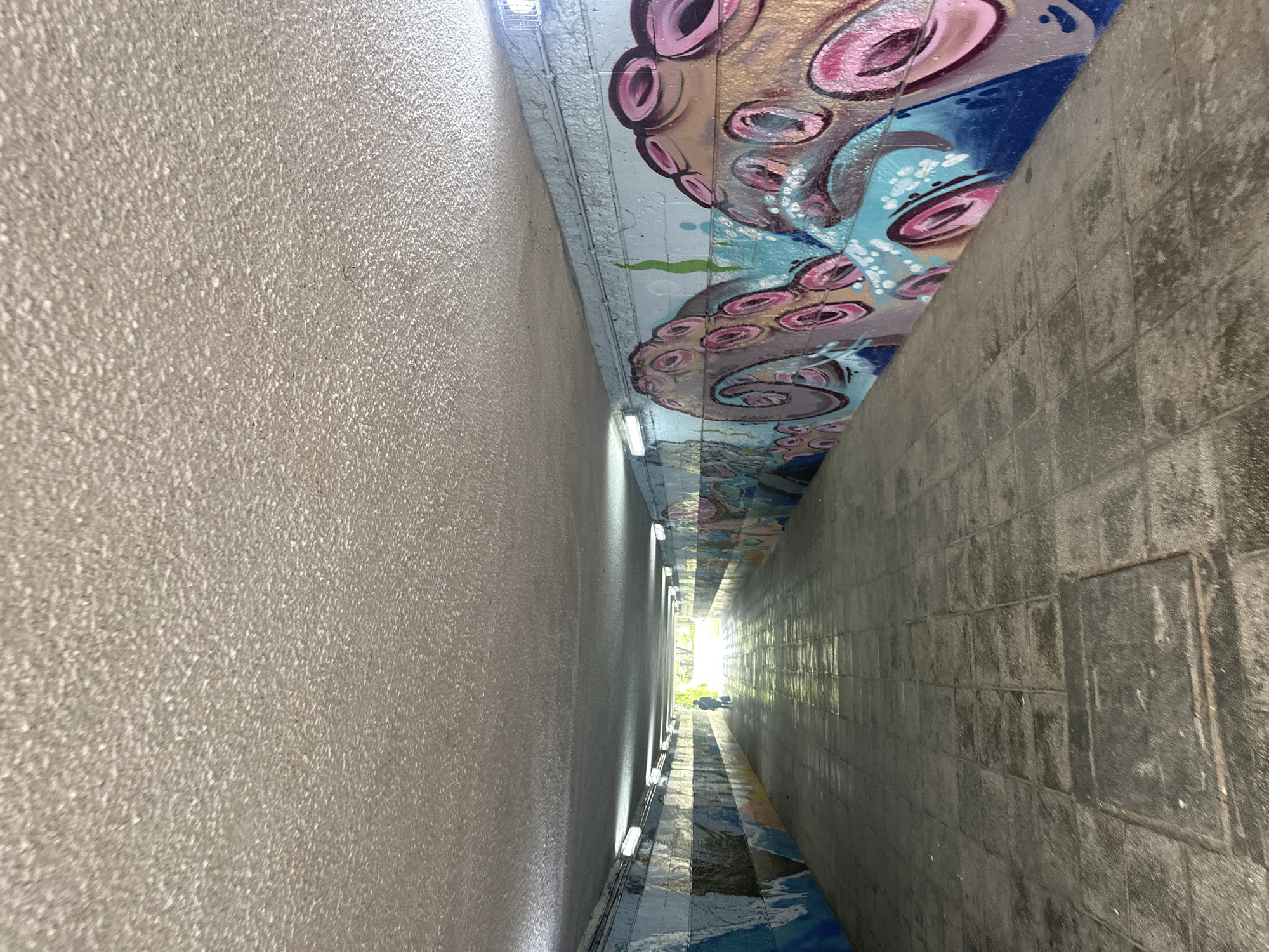 The image depicts a narrow, possibly underground, passage or tunnel, likely located in Varna, Bulgaria. The tunnel is illuminated by intermittent lights along the length of the structure. The walls are constructed of different materials: one side appears to be a rough, textured surface, while the other is composed of stacked gray rectangular blocks. The ceiling is decorated with marine-themed graffiti, including an octopus design in shades of pink, blue, and gray. The end of the passage appears to open into a brighter, outdoor area with foliage visible. Two figures are visible in the bright area at the tunnel entrance. The ground surface is covered with blue and white tile and appears wet or reflective.