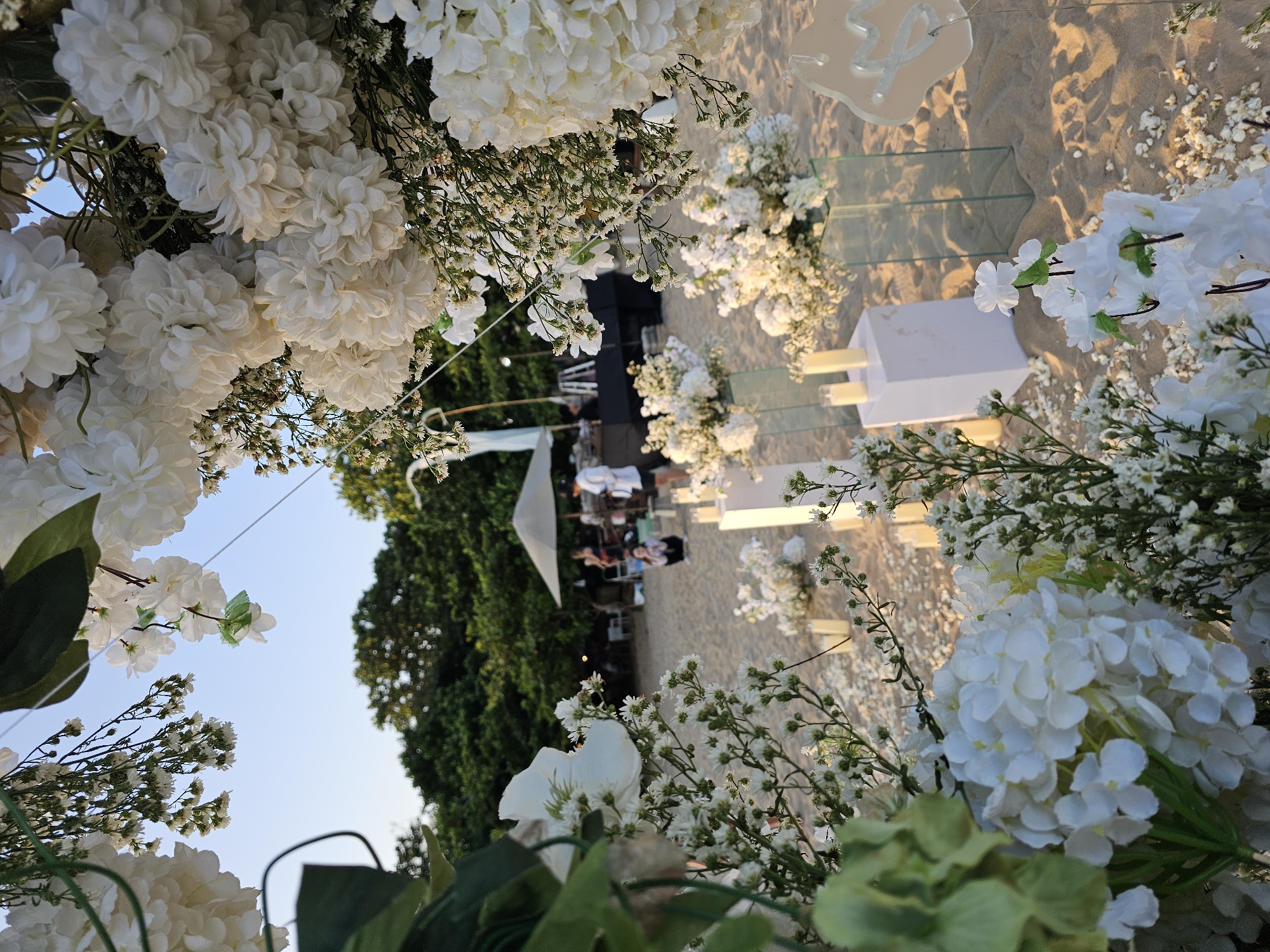 The image captures a wedding ceremony setup on a sandy beach, possibly in Denpasar, Indonesia, given the presence of tropical foliage. The scene is framed by a floral arrangement of white hydrangeas and baby's breath in the foreground, creating a foreground of white blossoms. The focus is directed towards a wedding aisle consisting of transparent platforms, each adorned with white floral accents. These platforms extend towards a gathering of individuals seated under a white umbrella-like structure, suggesting a reception or guest area. A black audio system is located nearby. The background features lush green trees against a light blue sky, implying either the early morning or late afternoon due to the soft lighting. The sandy beach is dotted with scattered white flowers, reinforcing the wedding theme.