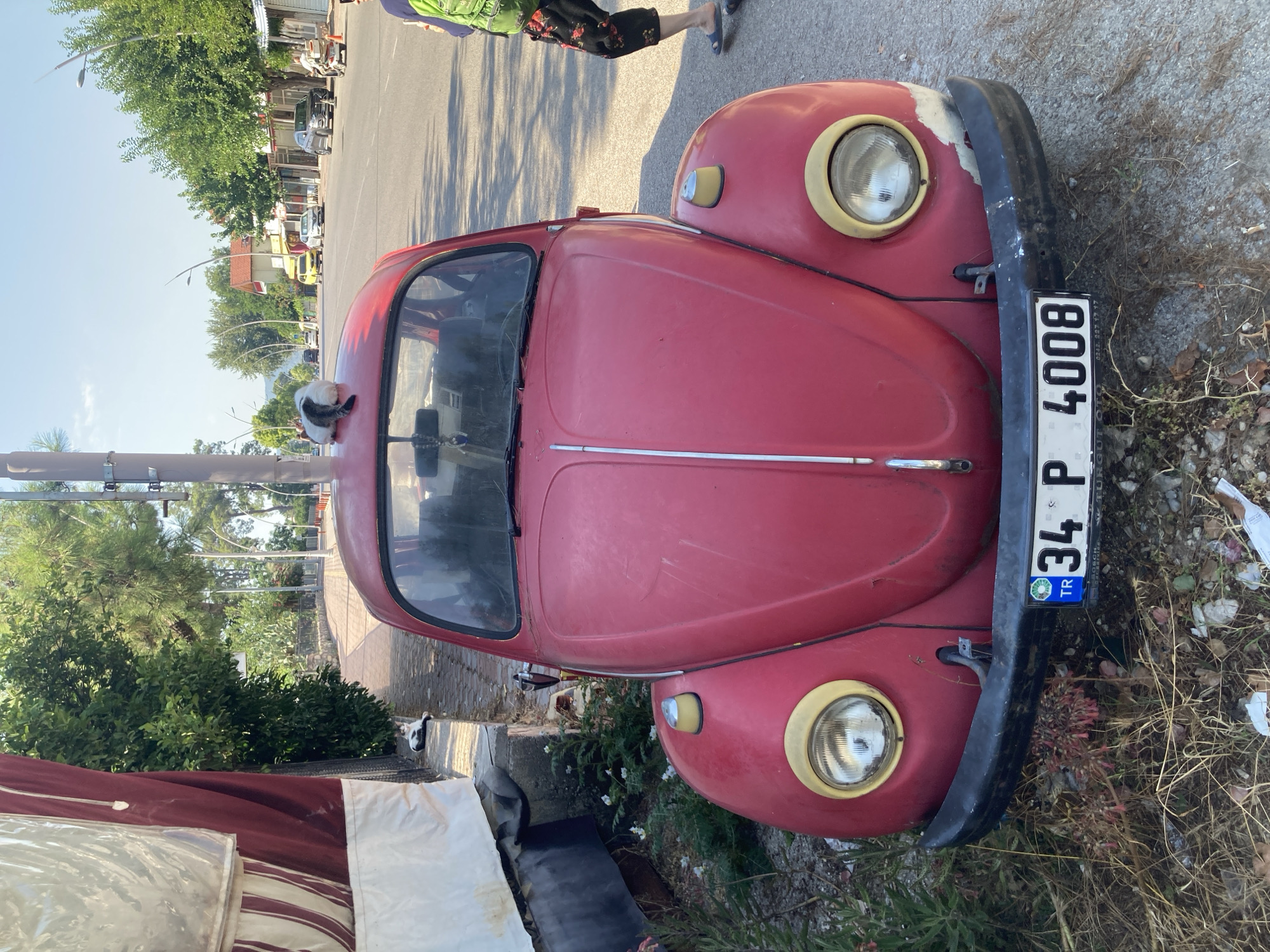 A red Volkswagen Beetle is parked on the side of a street in Kemer, Turkey. A cat is lying on the roof of the car. The car has a license plate that reads "34 P 4008". The street is lined with trees and buildings. There are other cars parked on the street. A person wearing a green backpack is walking away from the camera. The sky is blue and clear.