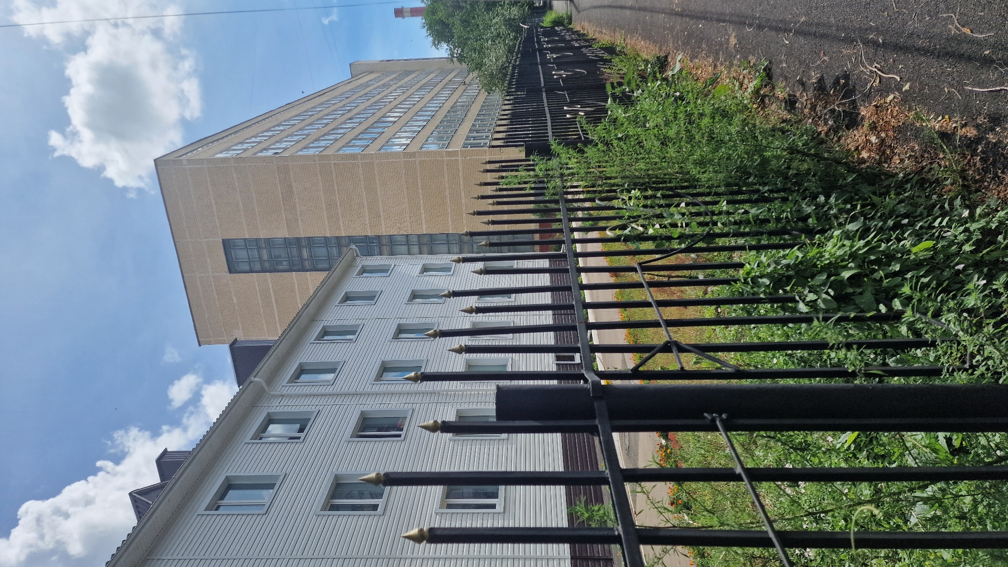 The image depicts the exterior of two buildings in the city of Kostanay, Kazakhstan, with a black metal fence in the foreground. The building on the left is white with a ribbed facade and multiple windows. The building on the right is much larger and taller, constructed of beige bricks, with many windows. A tall, dark vertical panel is visible on the face of the brick building. The fence, which runs along the right side of the image, is made of vertical black metal bars topped with pointed gold finials. Lush green vegetation grows densely on both sides of the fence and also along the side of the asphalt pathway that runs to the right of the fence. The sky is blue with scattered white clouds. A smokestack with a red top is visible in the distance to the far right. There are no people or animals visible in the scene.