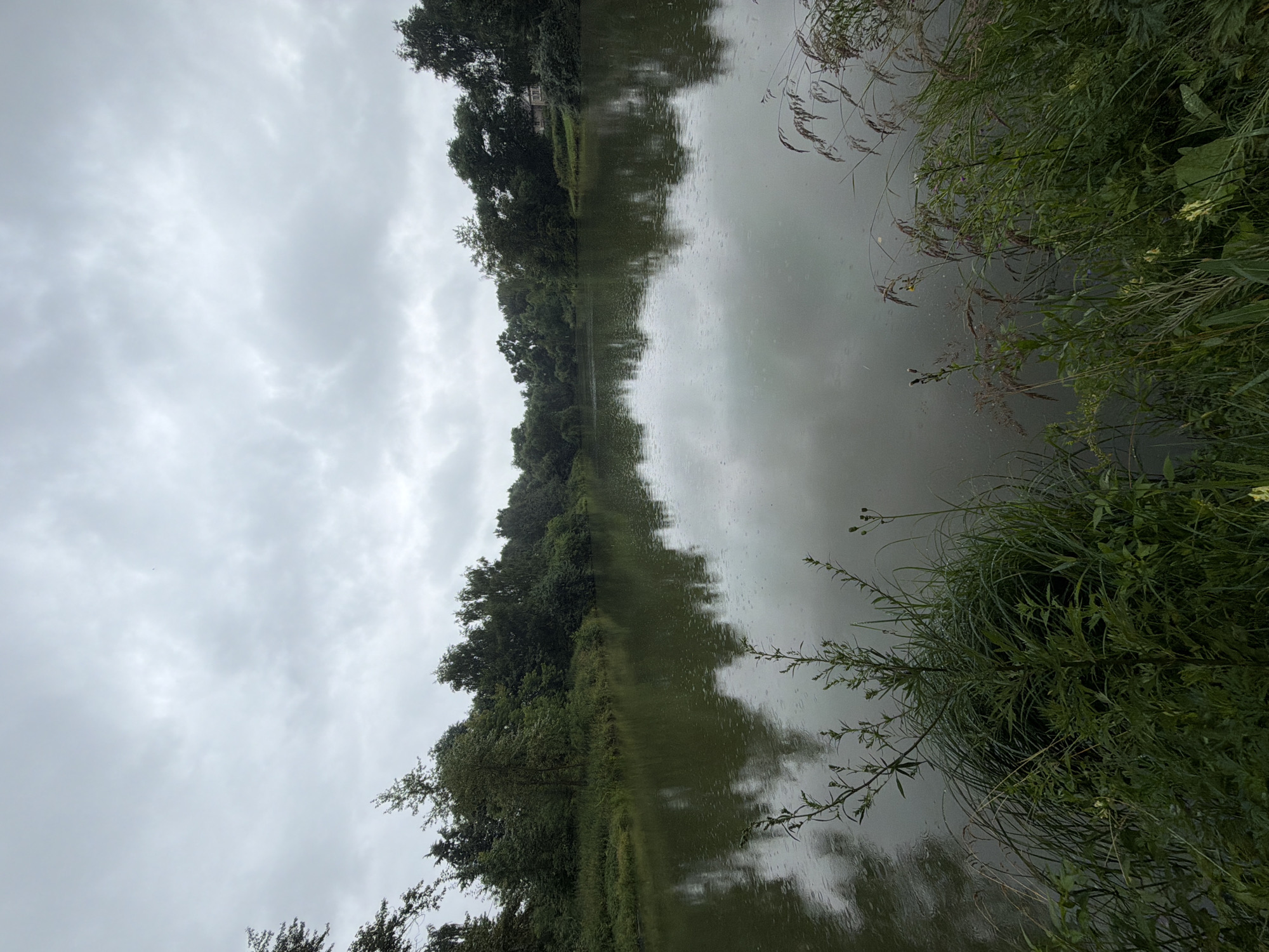 The image depicts a serene body of water, likely a lake or river, under an overcast sky. Lush green trees and vegetation line the far bank, creating a natural backdrop. The water's surface is calm, reflecting the cloudy sky and surrounding trees. In the foreground, tall grasses and various plants grow along the water's edge. A small, rustic building with a peaked roof can be seen nestled among the trees on the right side of the frame. The overall atmosphere is tranquil and natural, suggesting a rural or semi-rural setting. The image does not contain any people or visible actions. This scene is located in the city of Nikulskoye, Russia.