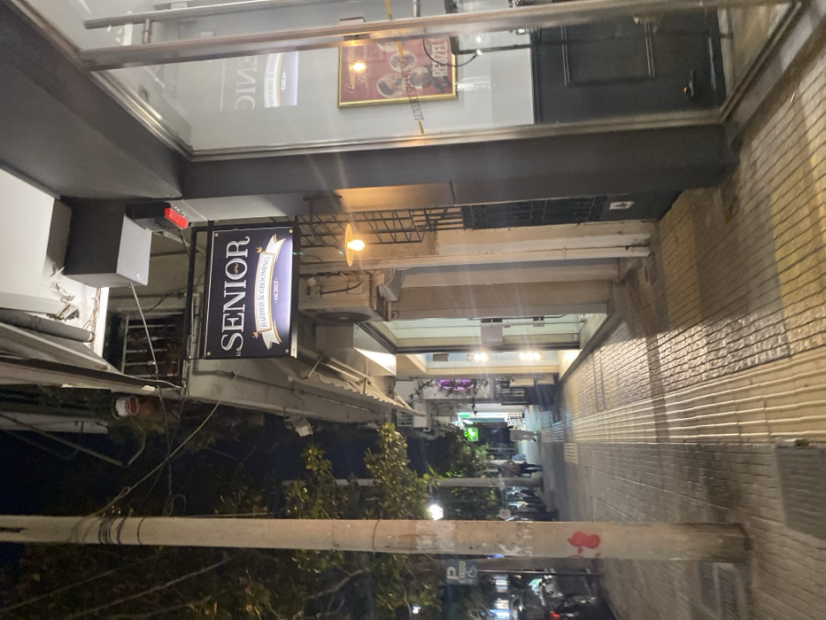 The image captures a nighttime view of a narrow street or alleyway in Egaleo, Greece, illuminated by artificial lights. On the left side of the frame, a prominent, rectangular sign for "SENIOR BARBER & GROOMING - est. 2013" is brightly lit, showcasing its text clearly. Above this sign, a window reflects the interior of the establishment, revealing a framed picture that appears to feature classic barbershop imagery, along with reversed text that looks like "CLINIC" or similar.
The street itself is defined by buildings on both sides. On the right, a textured brick wall extends into the distance, reflecting the warm glow of overhead lights. An overhead structure, possibly an awning or cover, runs the length of the passage, fitted with various light fixtures including a bare bulb near the barber sign and several recessed lights further down. The ground appears slightly reflective in areas, suggesting it might be wet.
In the immediate foreground, a thick, light-colored utility pole stands vertically, partially obscuring the lower left portion of the image. Dark, leafy foliage from trees or bushes is visible behind and below the pole. Further down the street, the scene becomes progressively darker, though faint outlines of distant vehicles and possibly people can be discerned, indicating an urban environment. A small red detail, possibly a light or button, is visible on a black box mounted near the "SENIOR" sign. The scene is quiet, with no discernible activity or specific events taking place.