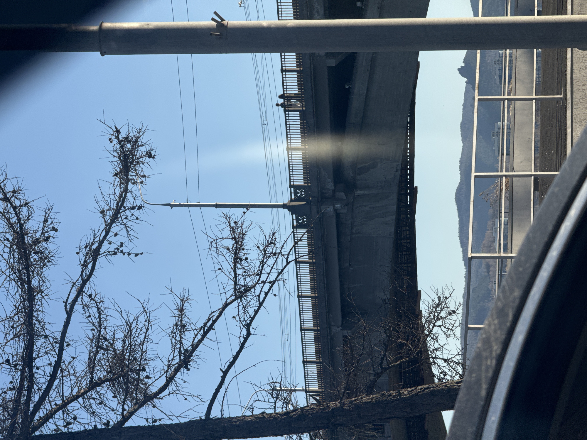 The image captures an outdoor scene dominated by a substantial concrete bridge under a clear, bright blue sky. The photo is taken from a low angle, looking upwards towards the bridge. Two figures are discernible standing on the bridge's walkway, leaning against the railing and appearing to observe the surroundings.
In the foreground, the bare, dark branches of a tree, possibly a larch given the numerous small cones, frame the left side of the image. A thick, dark pipe or beam runs horizontally across the top, with several power lines stretching across the sky. A utility pole extends upwards towards the bridge structure, supporting additional wires.
A prominent lens flare from the sun indicates bright daylight, likely morning or afternoon, given the clear sky and strong illumination. To the right of the main bridge, a metallic, fence-like structure with vertical and horizontal bars provides a glimpse of the background: distant hills or low mountains dotted with scattered buildings. The overall scene suggests a setting in an urban or semi-urban environment.
The photograph appears to be taken from inside a vehicle, with a dark, curved part of the vehicle's interior (possibly a window frame or door) partially obscuring the lower right corner. There is no visible text in the image. The depicted infrastructure and natural landscape align with the context of Krasnoyarsk, Russia.