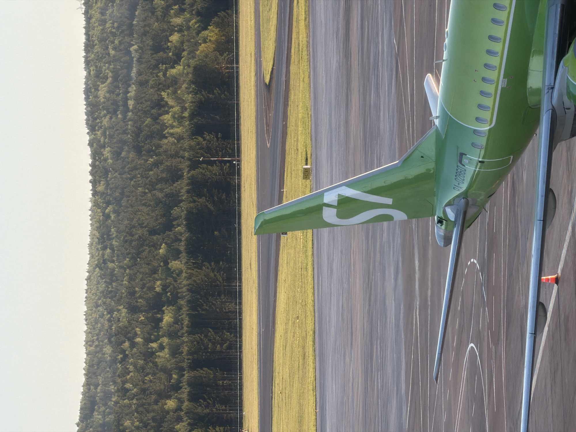 The image shows the tail section of a green S7 Airlines aircraft, registration number RA-89860, on a runway at Емельяново (аэропорт), Russia. The runway is bordered by a grassy area and a dense forest. A small orange cone is visible near the aircraft's landing gear. The sky is light, suggesting either dawn or dusk.