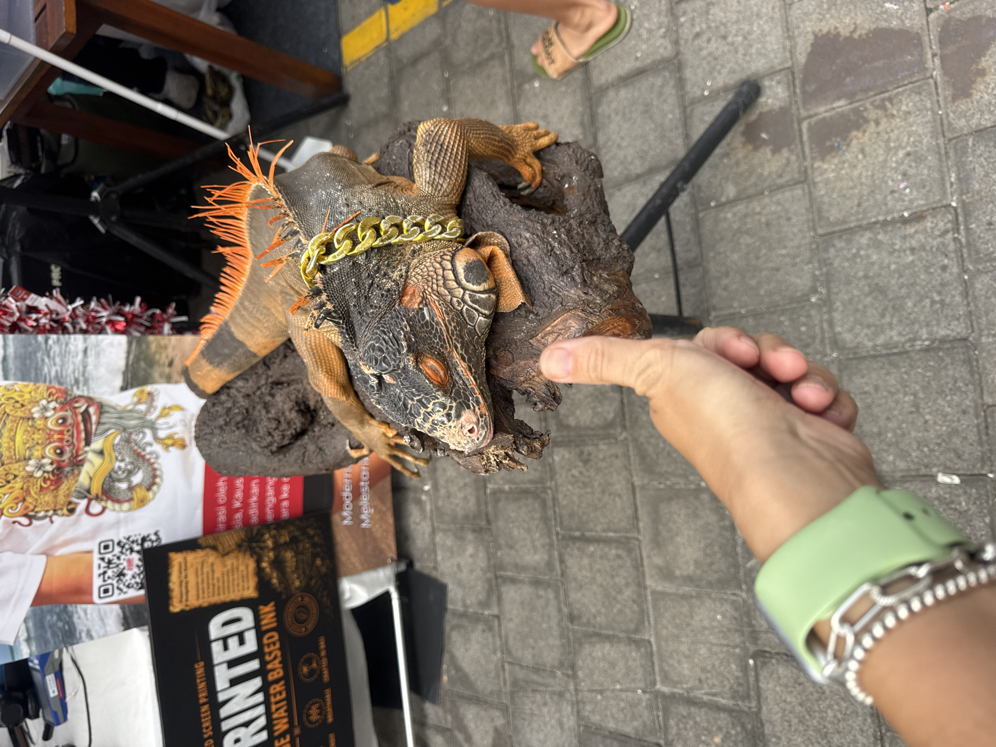 An orange iguana wearing a gold chain rests on a wooden perch outdoors. A person's hand, wearing a light green watch and a silver bracelet, gives a thumbs-up gesture in the foreground. In the background, a man stands behind a table with a banner displaying text in Indonesian. The scene appears to be a street market or outdoor event in Kuta Selatan, Indonesia, with paved ground and a hint of the ocean in the distance.