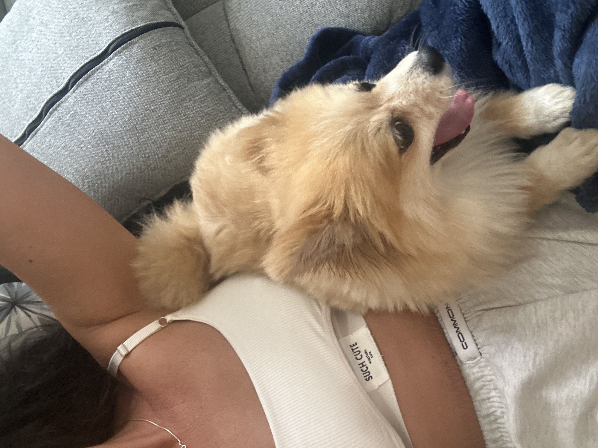 A tan Pomeranian dog is resting on a blue blanket next to a person wearing a white tank top and gray sweatpants, on a couch in a dimly lit room. The tank top has a white tag that reads "SUCH CUTE" and a smaller tag that says "Wash. Care." The sweatpants have a tag that reads "COMMON". The dog is panting with its tongue out. The background consists of a gray couch. The image does not contain any discernible information about the location in Kuta Selatan, Indonesia.