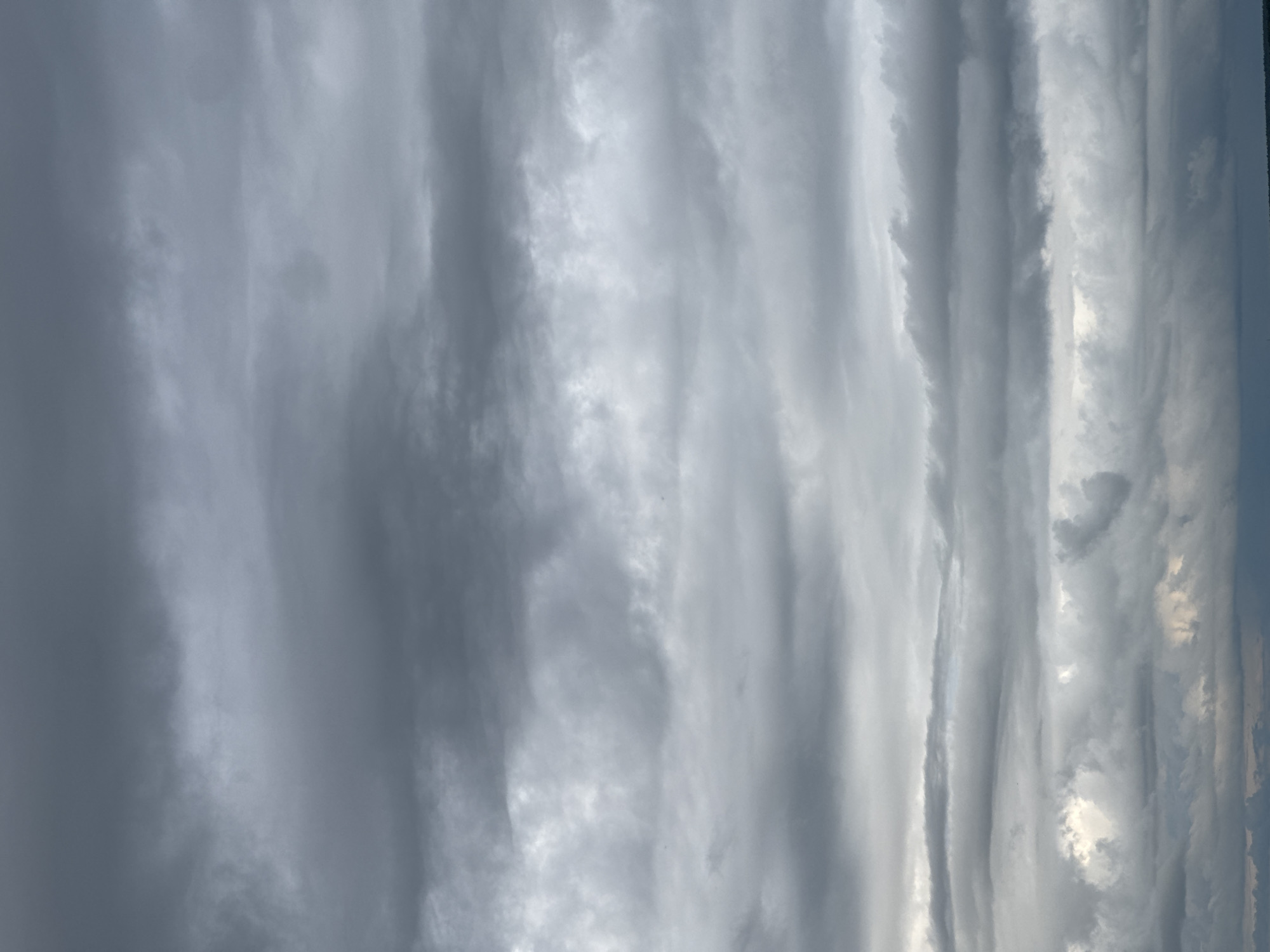 The image displays an expansive view of a sky heavily populated with a dramatic arrangement of clouds. The perspective is likely from ground level looking upwards, capturing a broad expanse of the heavens. The clouds are predominantly gray and white, showcasing varying densities and textures.
Distinct elongated cloud formations stretch across the frame, appearing as undulating, wave-like structures or layered bands of stratocumulus or altocumulus clouds. These formations create a dynamic interplay of light and shadow, with some sections of the clouds appearing bright white where sunlight is illuminating them directly, and other sections rendered in darker shades of gray, indicating thicker cloud cover or areas cast in shadow. Towards the right side of the frame, subtle hints of blue sky are visible, suggesting breaks in the cloud cover.
There are no people, man-made objects, or visible text present in the image. The time of day appears to be daytime, given the overall illumination, likely mid-day or afternoon, but without a clear sun position, an exact time cannot be determined. The weather condition is heavily overcast, suggesting either an impending weather change or a generally cloudy day. The scene is located in Chaikovsky, Russia, as per the provided context, though no specific geographical cues are visible within the image itself. The photograph captures the natural beauty and dynamic patterns of atmospheric conditions.