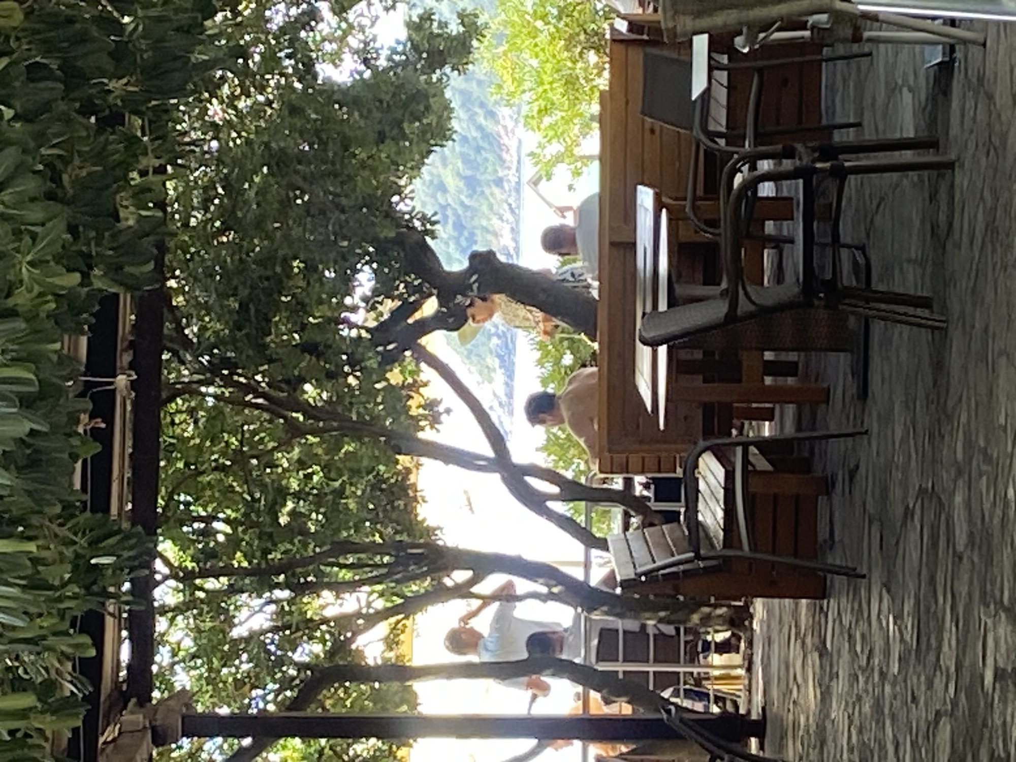 The image depicts an outdoor seating area of a cafe or restaurant with a view of a body of water and a hilly coastline, likely in Prijevor, Montenegro. The foreground is dominated by stone paving and several tables and chairs. A wooden bench with cushions is visible behind the tables. Lush green trees and foliage provide shade over the seating area.
In the background, several individuals are seated or standing. On the left, a person in a white shirt is standing near a table, possibly interacting with someone out of frame. Further back, a couple is seated at a table, with one person wearing a hat and a patterned dress. To the right, another person is seated facing away from the camera. The water in the background appears calm, with hills covered in vegetation on the opposite shore. Sunlight filters through the trees, creating dappled light on the ground and highlighting the foliage. The overall atmosphere suggests a relaxed outdoor dining experience in a scenic, coastal location.
