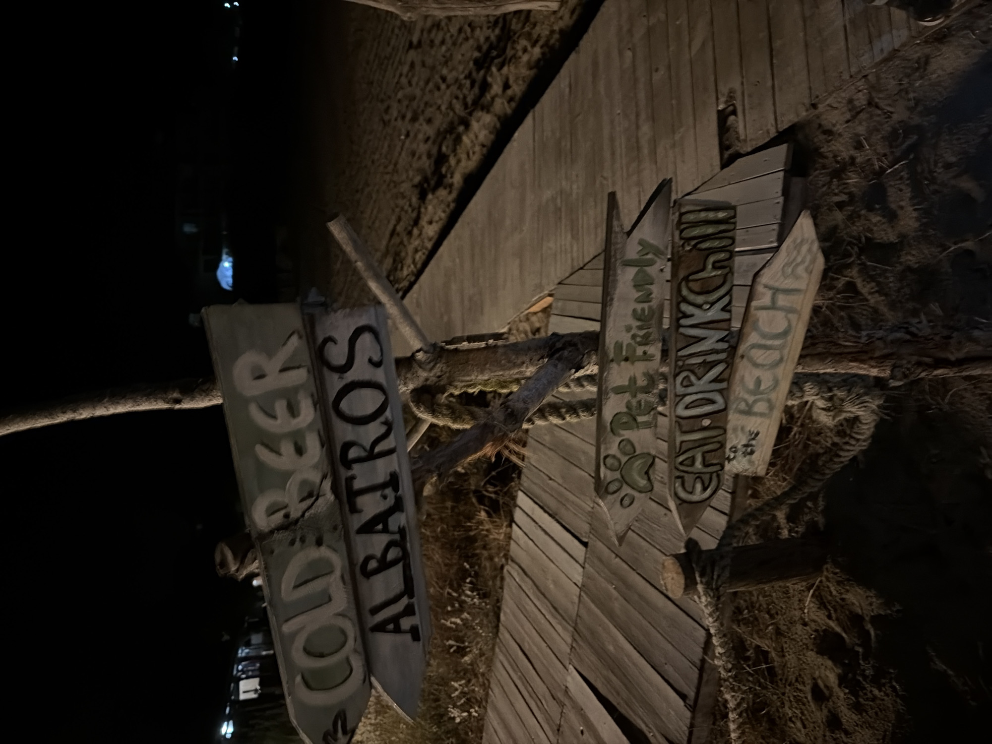 The image depicts a multi-directional wooden signpost at night, illuminated by an unseen light source, located on sandy ground adjacent to a wooden boardwalk in Tsarevo, Bulgaria. The signpost, constructed from rough-hewn wooden poles and planks, features several directional arrows.
From top to bottom, the visible signs read:
1. "COLD BEER," with white text on a light plank, pointing to the left.
2. "ALBATROS," with black text on a light plank, pointing to the left below the "COLD BEER" sign.
3. "Pet Friendly," with green text and a green paw print on a light plank, pointing to the right.
4. "EAT DRINK CHILL," with white and green text on a light plank, pointing to the right below the "Pet Friendly" sign.
5. "to the BEACH," with light green text on a natural wood plank, pointing diagonally downwards to the right at the base of the signpost.
Thick, coiled rope is wrapped around the central wooden pole of the signpost, securing some of the planks. The ground immediately surrounding the signpost is sandy and uneven, with sparse, dry vegetation visible. A wooden boardwalk, composed of parallel planks, extends from the lower left foreground, passes behind the signpost, and continues towards the right mid-ground, bordering a dark sandy area which appears to be a beach. The background is predominantly dark, indicating nighttime, with faint, blurred lights visible in the distant darkness, suggesting nearby structures or a distant settlement. No individuals or animals are present in the scene.