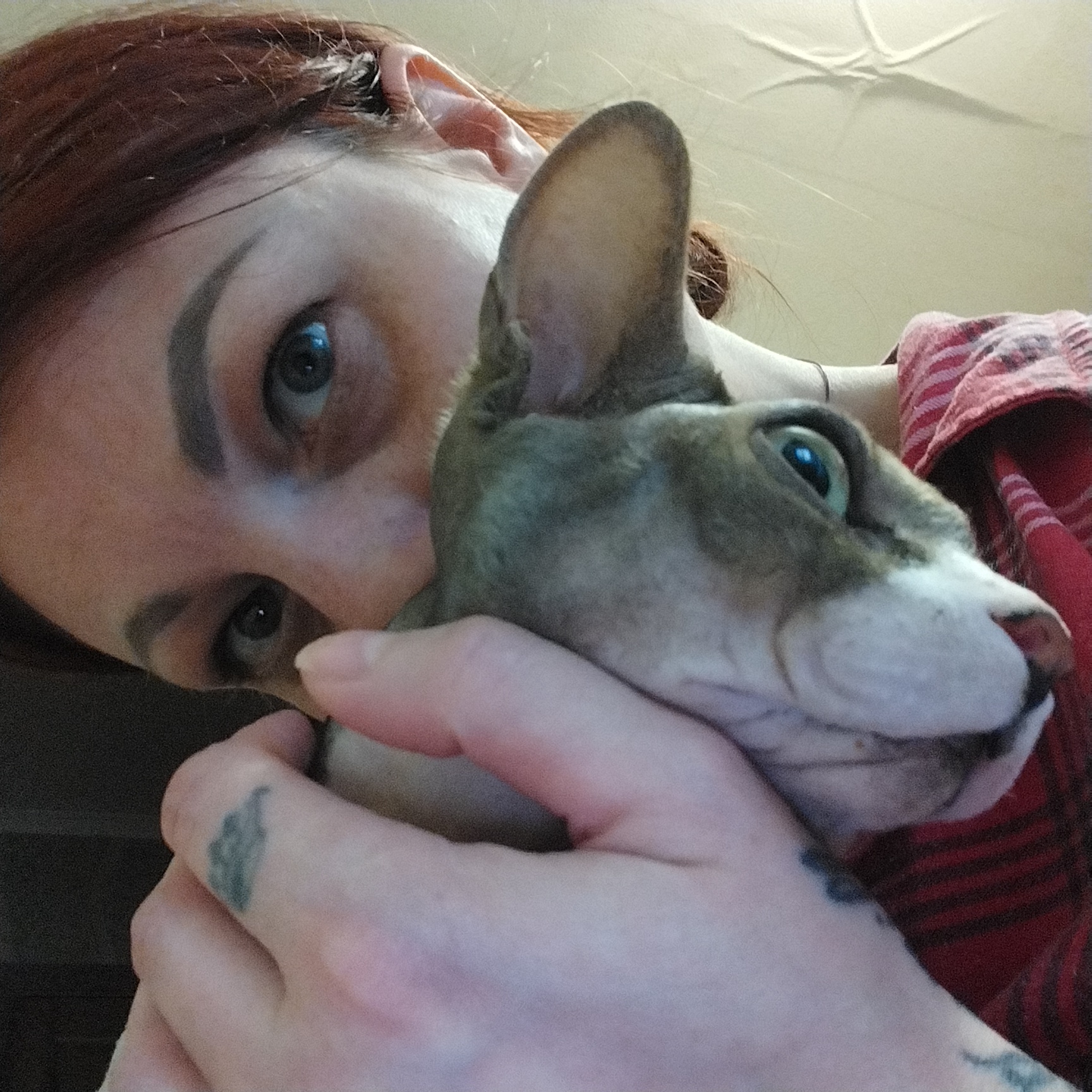 The image shows a close-up, low-angle selfie of a person holding a Sphynx cat. The person's face is partially visible on the left, with their right eye and eyebrow in focus. Their auburn hair is pulled back. The cat, held in the person's hands, is the primary subject and fills the right side of the frame. Its face is turned to the right, showing its prominent ears and distinctive hairless skin. The person is wearing a red and black plaid shirt. The background appears to be an indoor setting, possibly a home, with a textured ceiling visible at the top. The image quality is somewhat grainy. There is no specific indication of the location within Забалоцкі сельскі Савет, Belarus; it is a general depiction of a person and their pet.