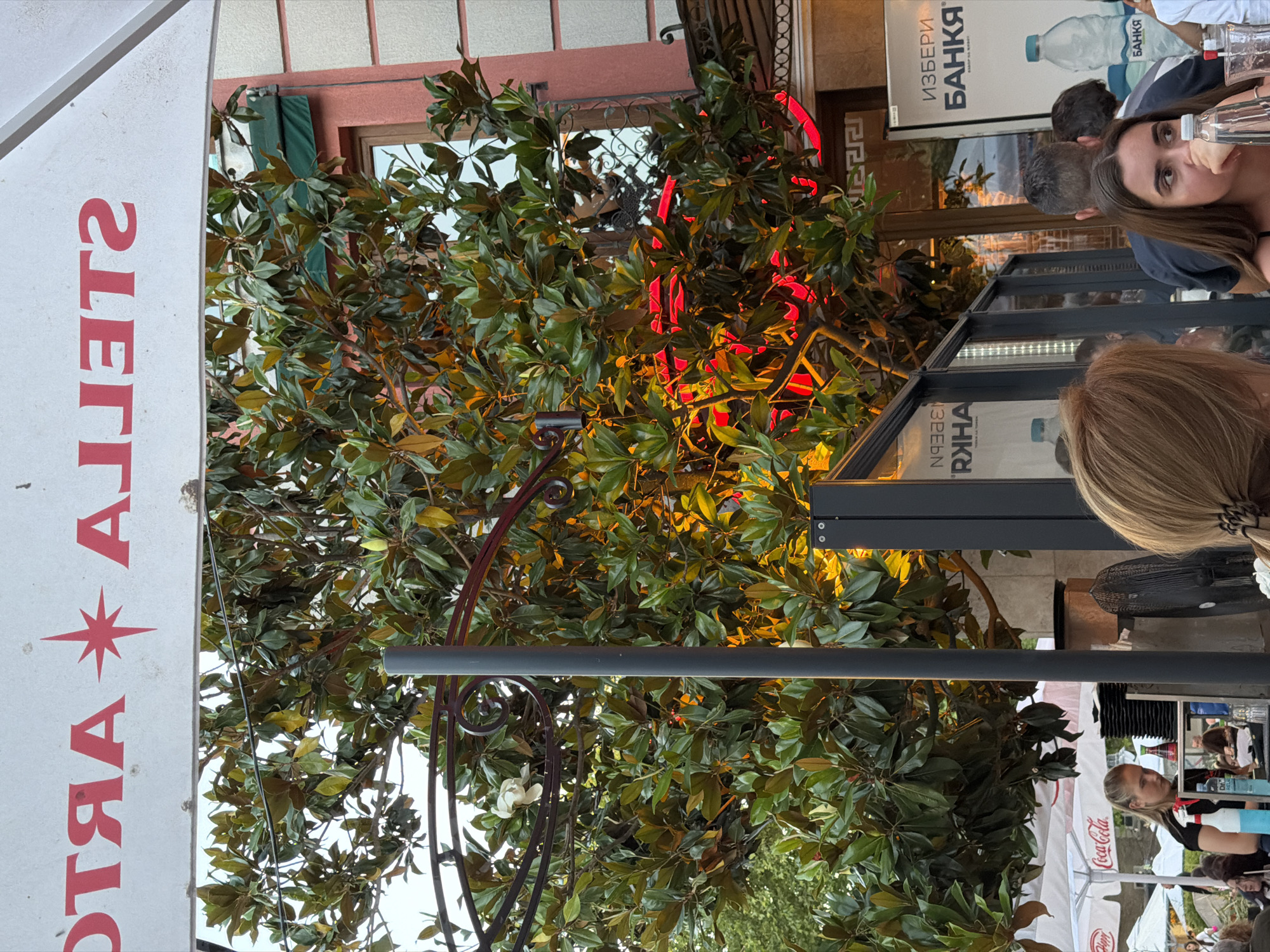In Burgas, Bulgaria, at a street-level establishment, a group of people are seated at tables, suggesting an outdoor dining or cafe setting. A large tree with dense green foliage dominates the foreground, partially obscuring a red-tinted building facade with windows and architectural details. A white awning with red lettering, appearing to be a brand name like "STELLA," is visible at the top. Red neon lights are illuminating parts of the tree and the building. In the midground, a woman with blonde hair, wearing a black shirt, stands behind a counter or service area, attending to bottles and supplies. Other patrons are visible, some facing away from the camera, engaged in conversation or observing their surroundings. A fan and a poster with Cyrillic text are also present in the scene. The overall atmosphere suggests a warm evening, with artificial lighting creating a vibrant ambiance.